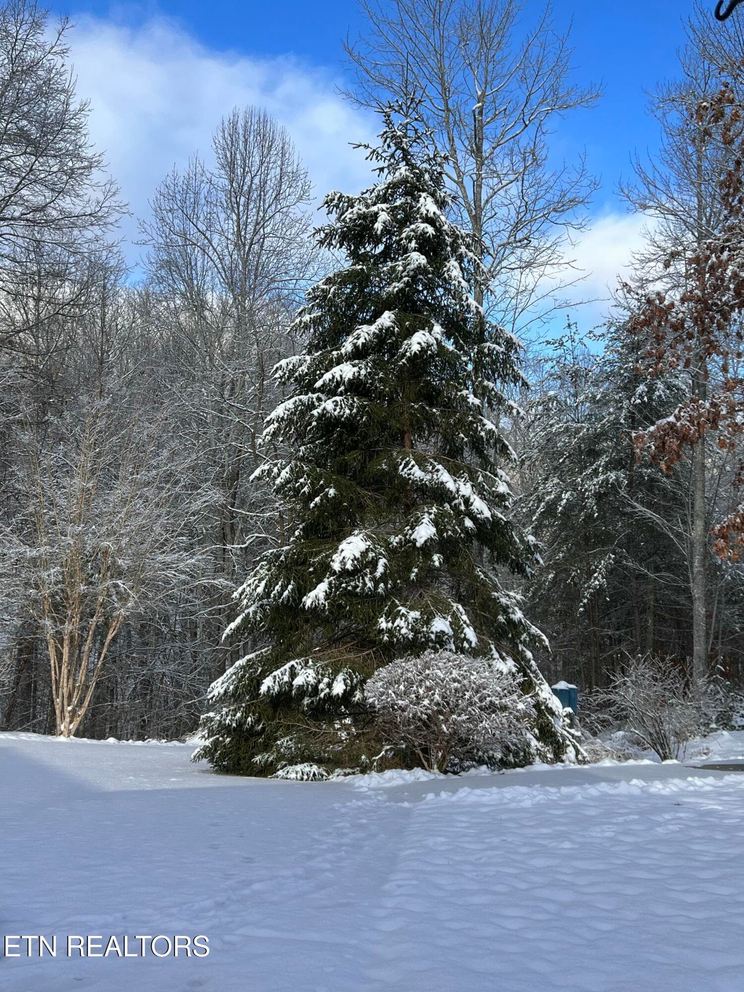 IMG_3952 - 427 Gold Rd, Cosby, TN 37722, Cosby