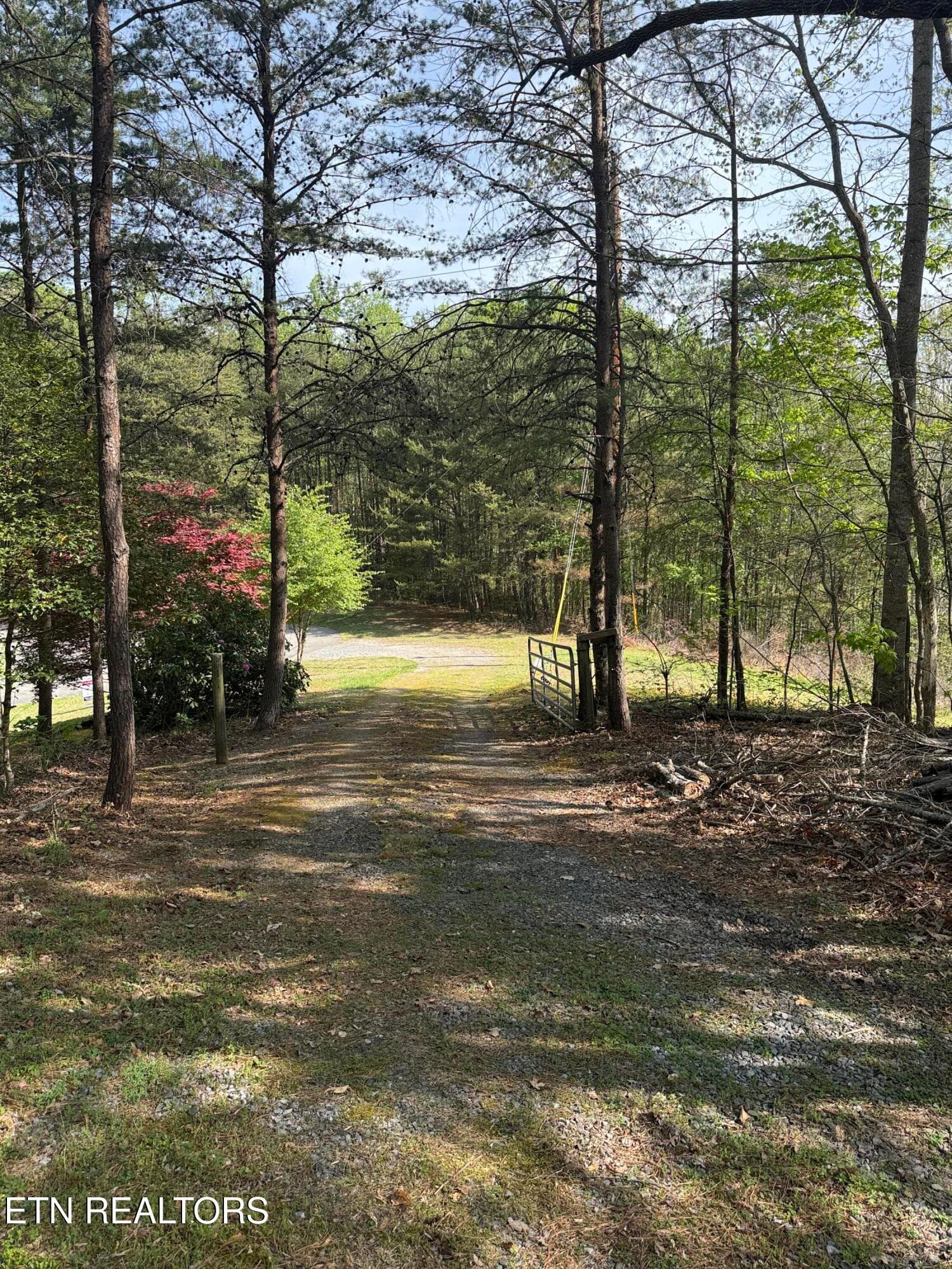 IMG_0805 - 427 Gold Rd, Cosby, TN 37722, Cosby