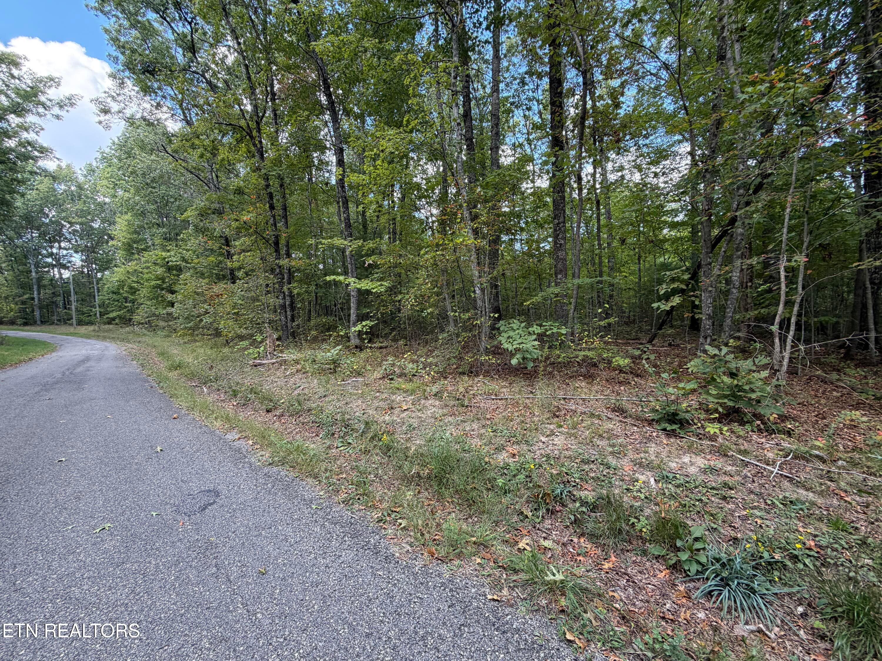 IMG_1740 - 6.34 Ac Horse Creek Rd, Jamestown, TN 38556, Jamestown
