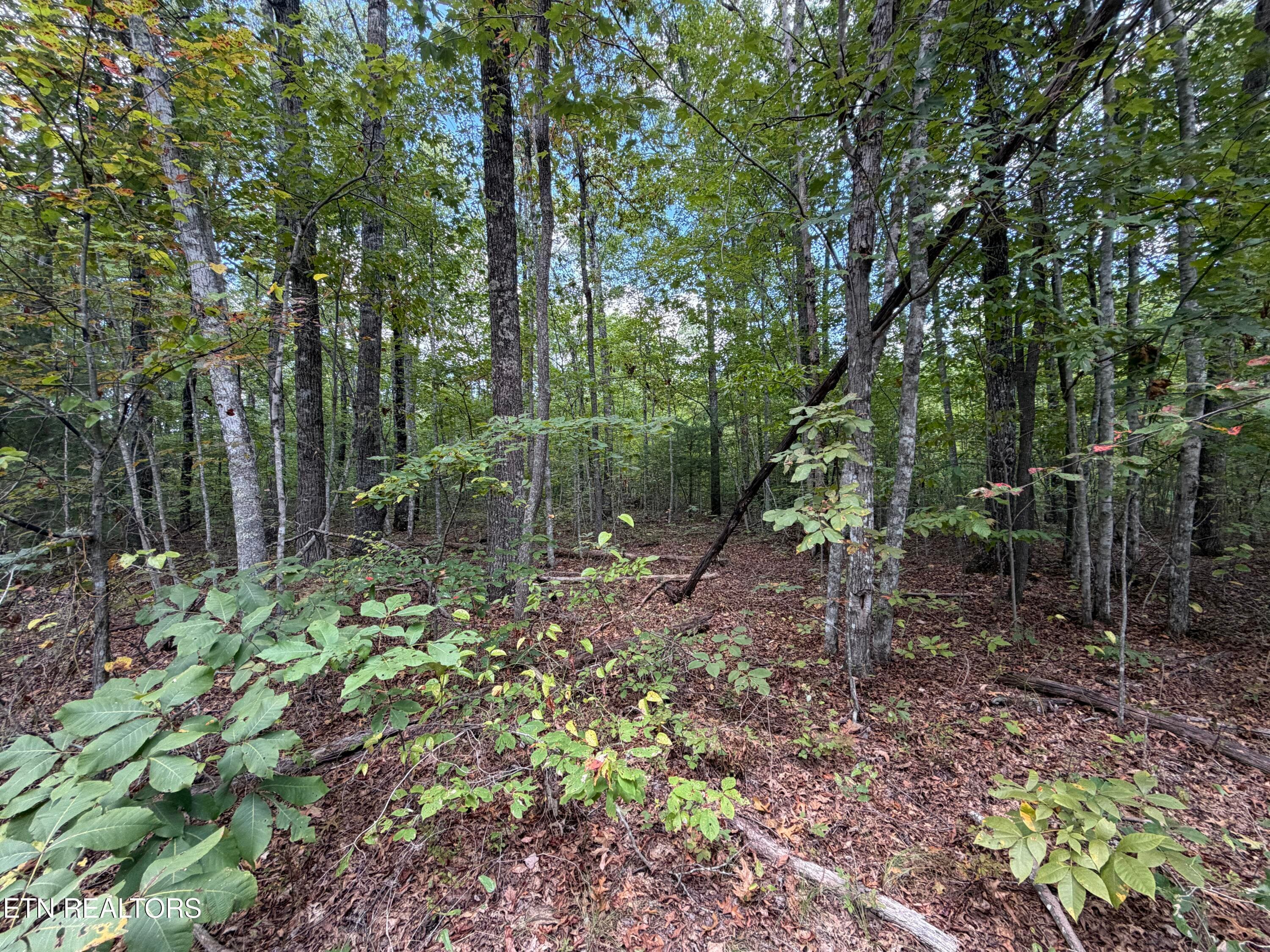 IMG_1741 - 6.34 Ac Horse Creek Rd, Jamestown, TN 38556, Jamestown