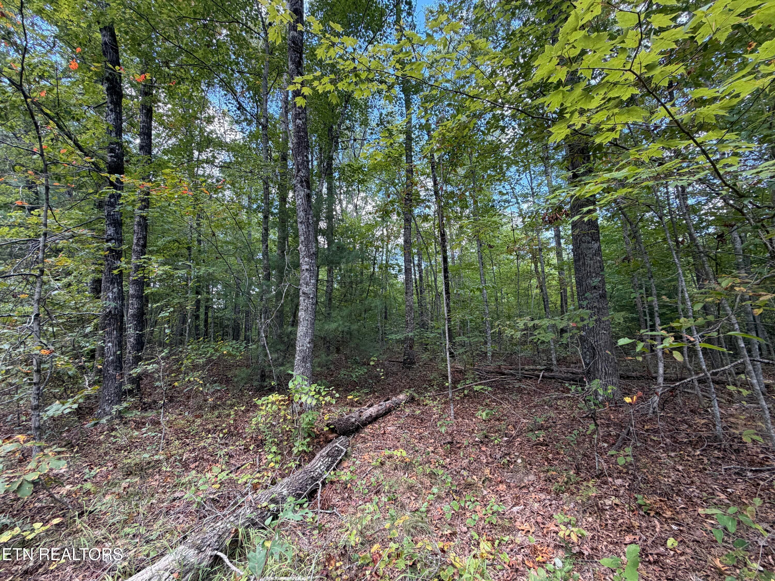 IMG_1743 - 8.06 Ac Horse Creek Rd, Jamestown, TN 38556, Jamestown
