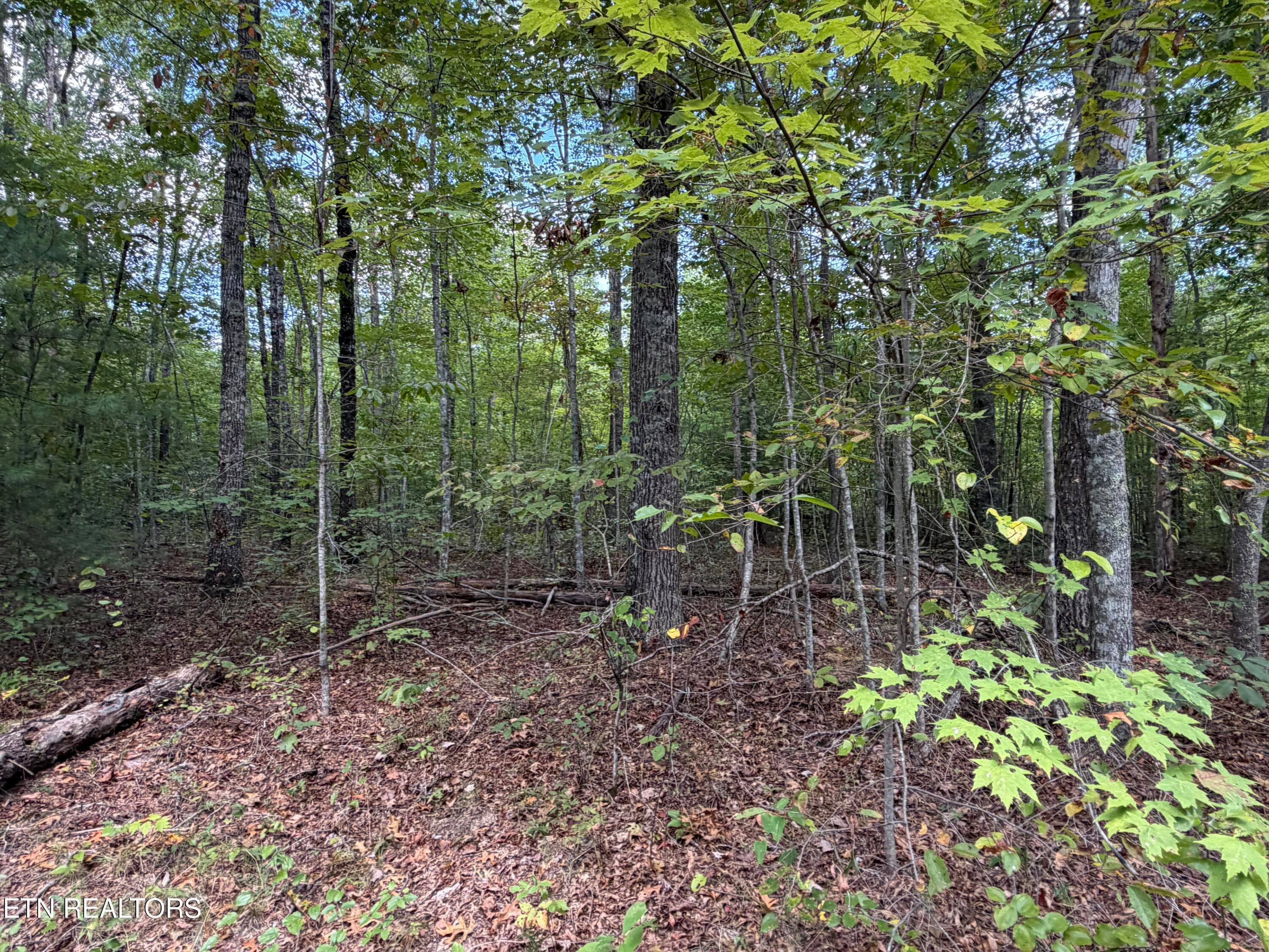 IMG_1742 - 8.06 Ac Horse Creek Rd, Jamestown, TN 38556, Jamestown
