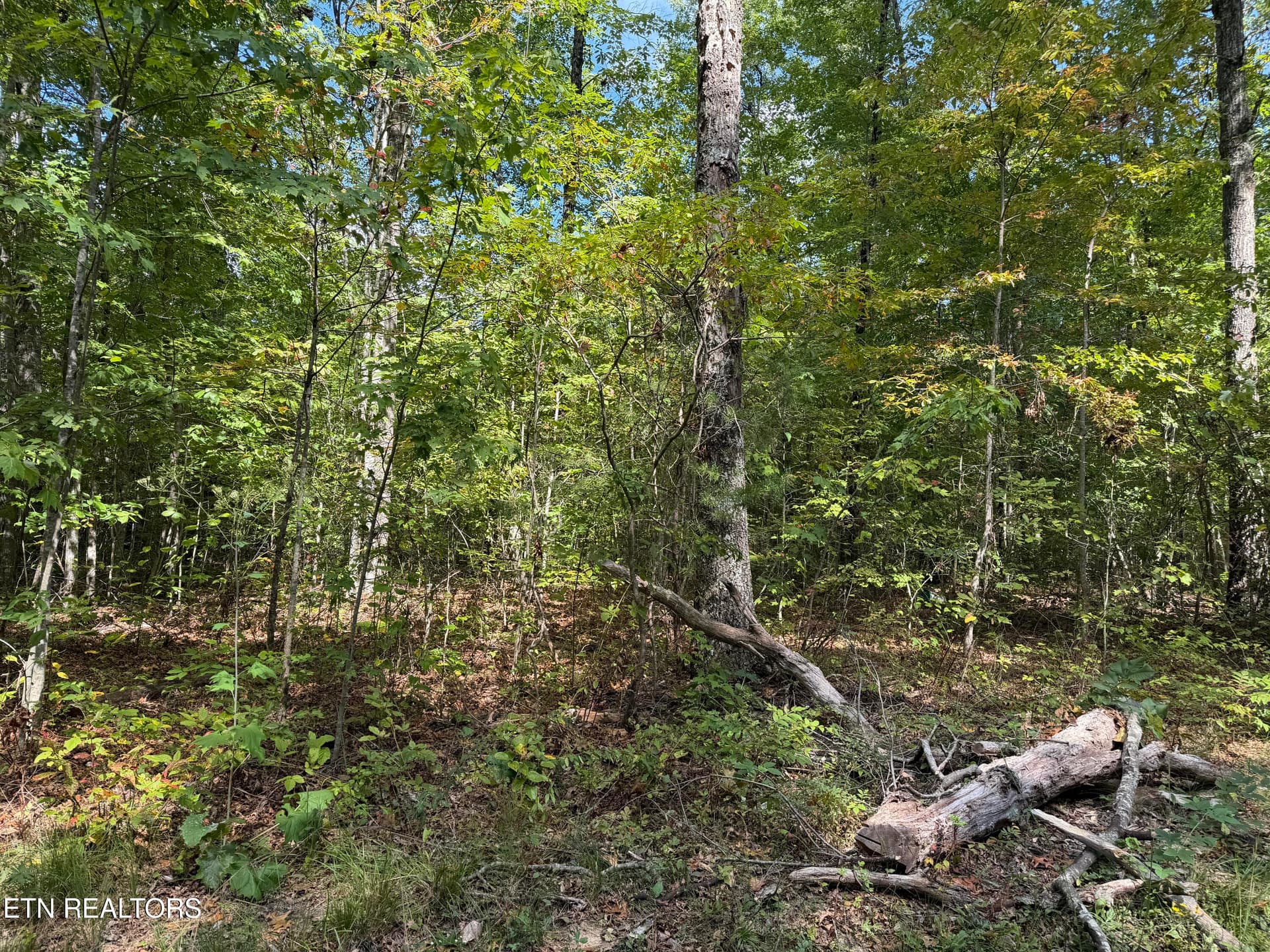 8.06 Ac Horse Creek Rd, Jamestown, TN 38556