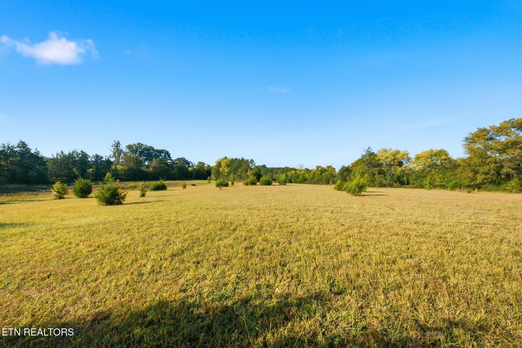12-web-or-mls-1660-Co-Rd-700-Athens-TN-1 - 000 County Road 700, Athens, TN 37303, Athens