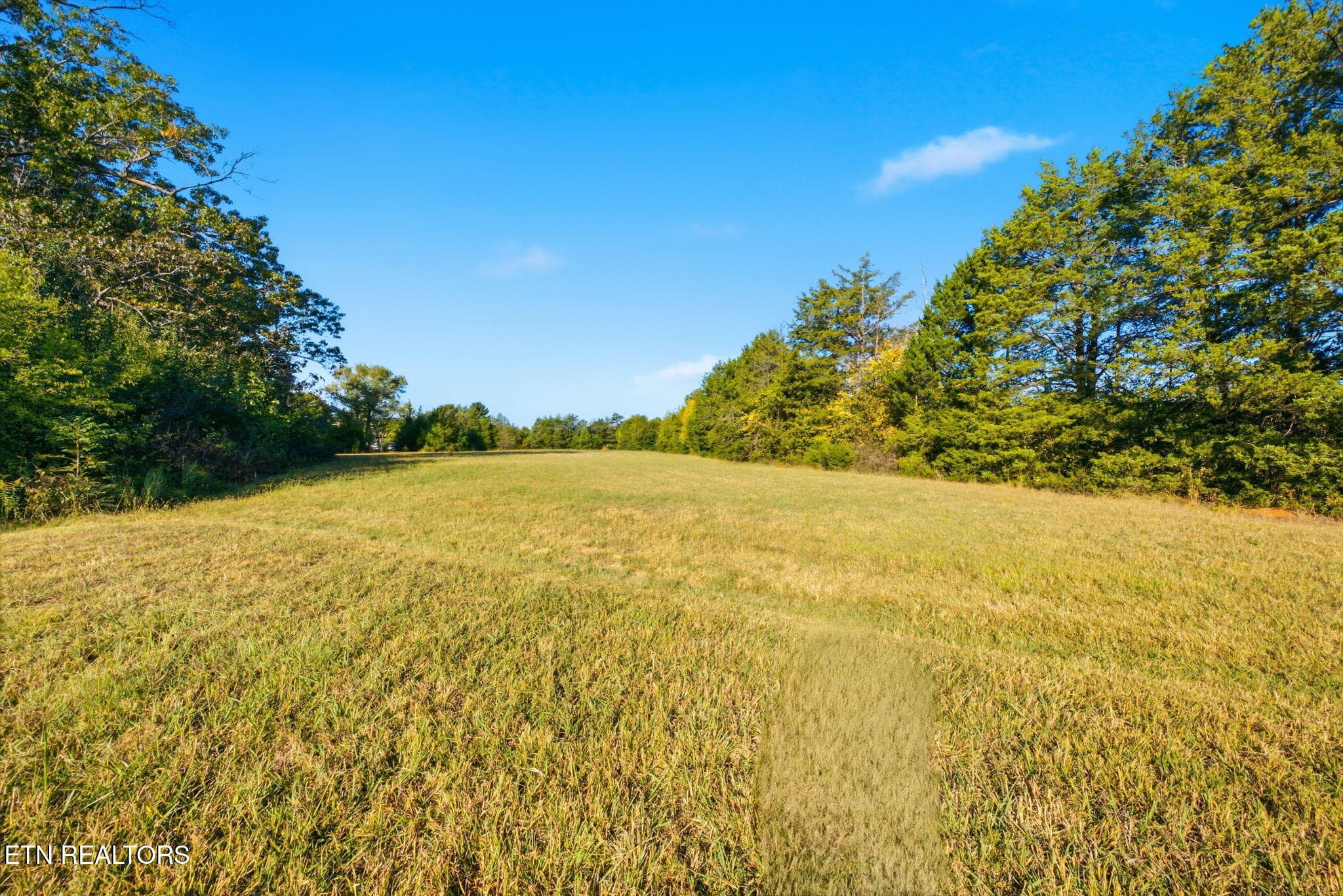 13-web-or-mls-1660-Co-Rd-700-Athens-TN-1 - 000 County Road 700, Athens, TN 37303, Athens