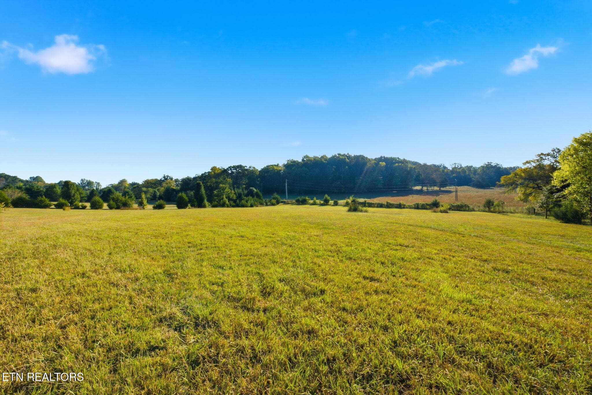 14-web-or-mls-1660-Co-Rd-700-Athens-TN-1 - 000 County Road 700, Athens, TN 37303, Athens