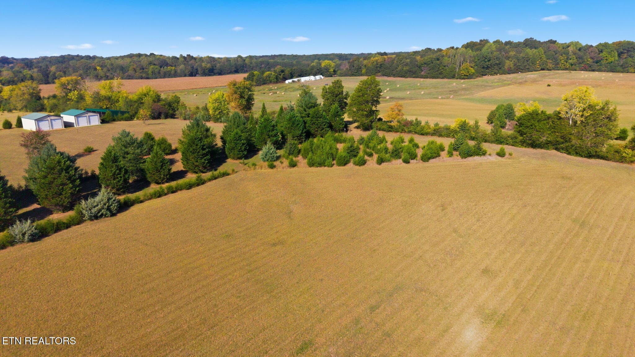 23-web-or-mls-1660-Co-Rd-700-Athens-TN-2 - 000 County Road 700, Athens, TN 37303, Athens