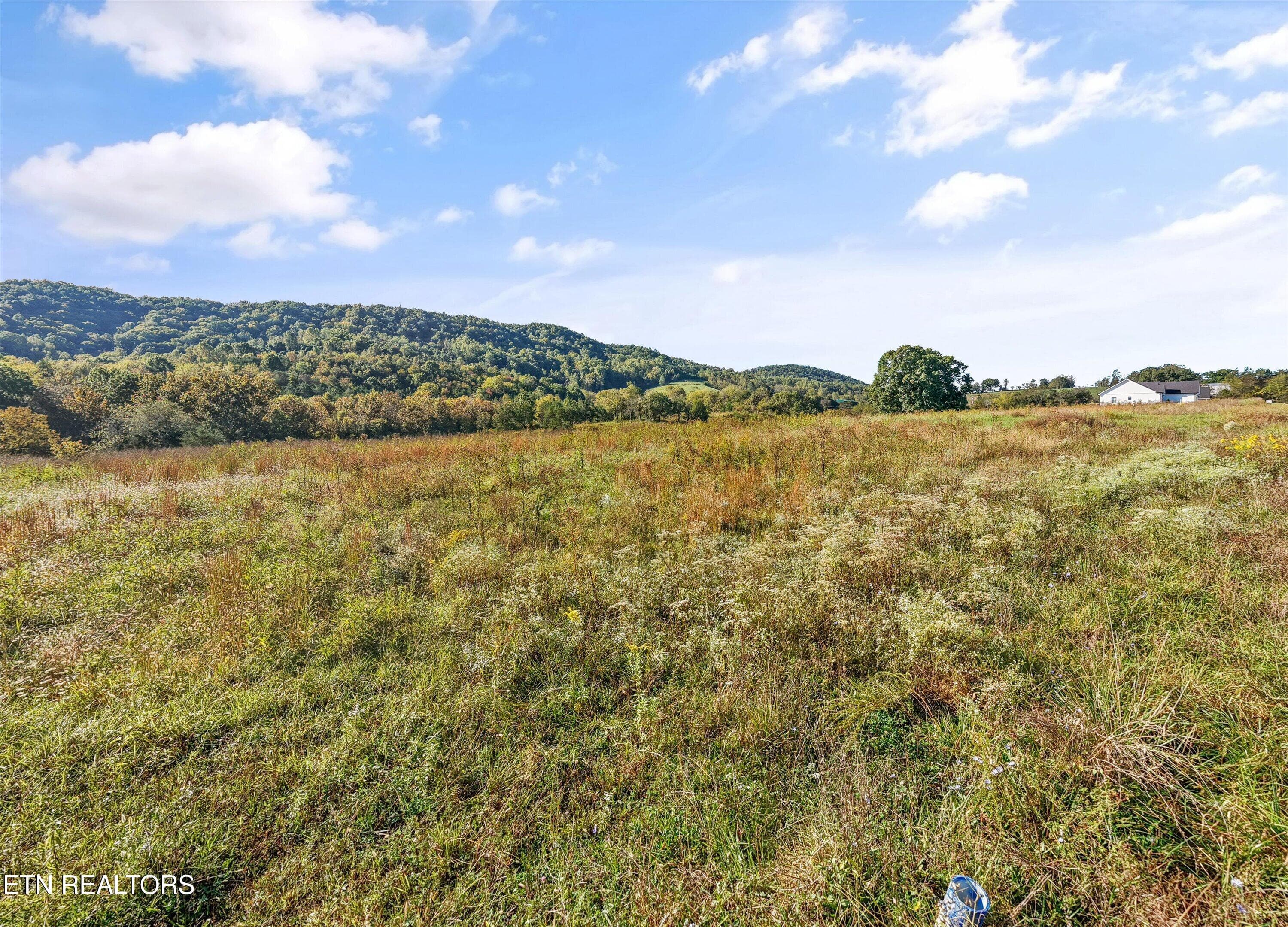 11-Waterfront Knl18 - Waterfront Lot 23, Sharps Chapel, TN 37866, Sharps Chapel