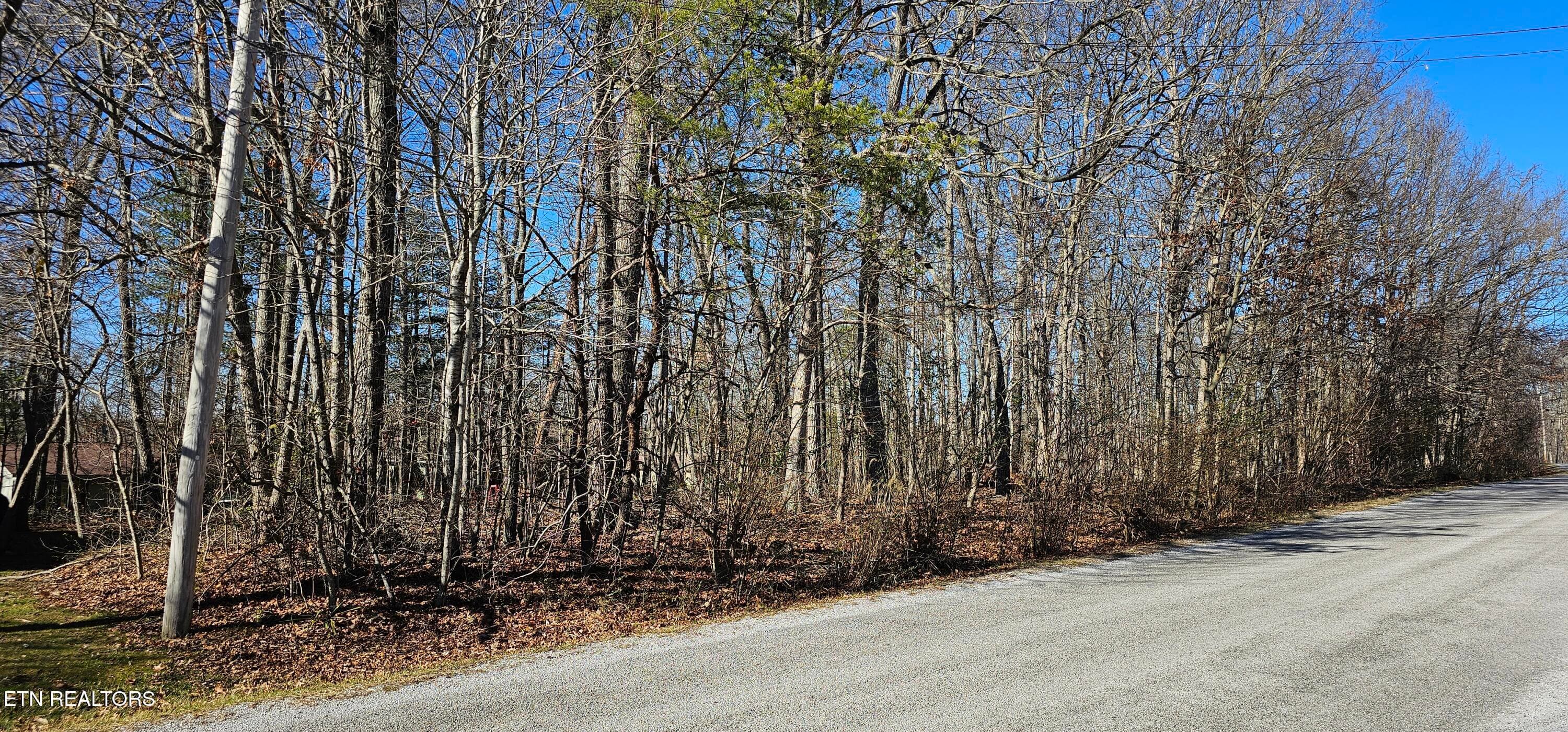 1000140636 - 308 Kings Down Drive, Crossville, TN 38558, Crossville