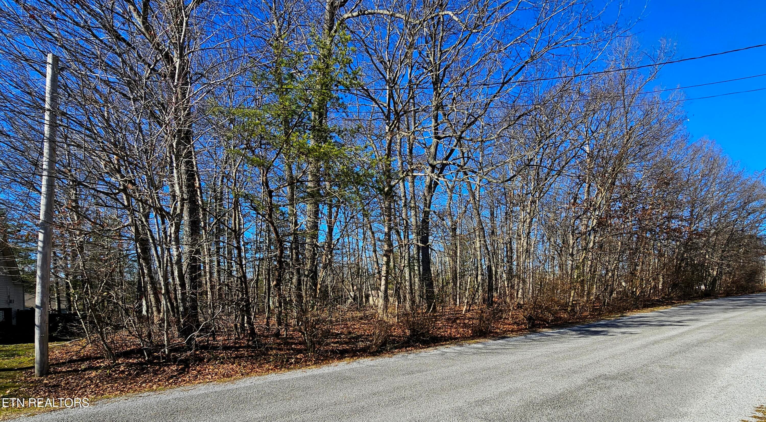 1000140638 - 308 Kings Down Drive, Crossville, TN 38558, Crossville