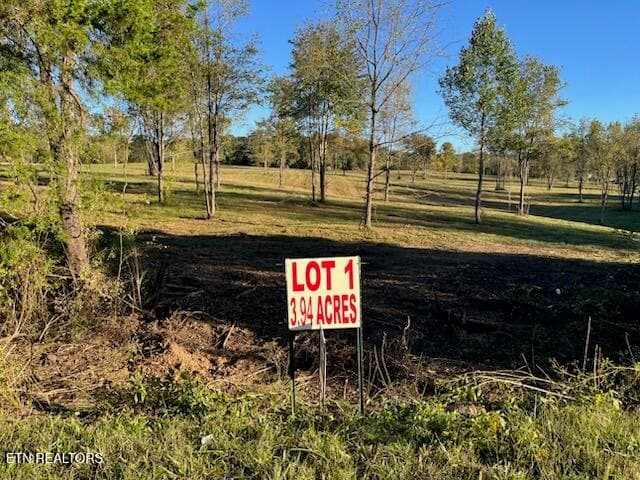 IMG_6795 - Stone Mill Lot 1 Rd, Jacksboro, TN 37757, Jacksboro
