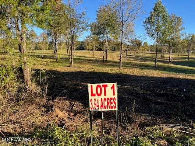 IMG_6796 (1) - Stone Mill Lot 1 Rd, Jacksboro, TN 37757, Jacksboro