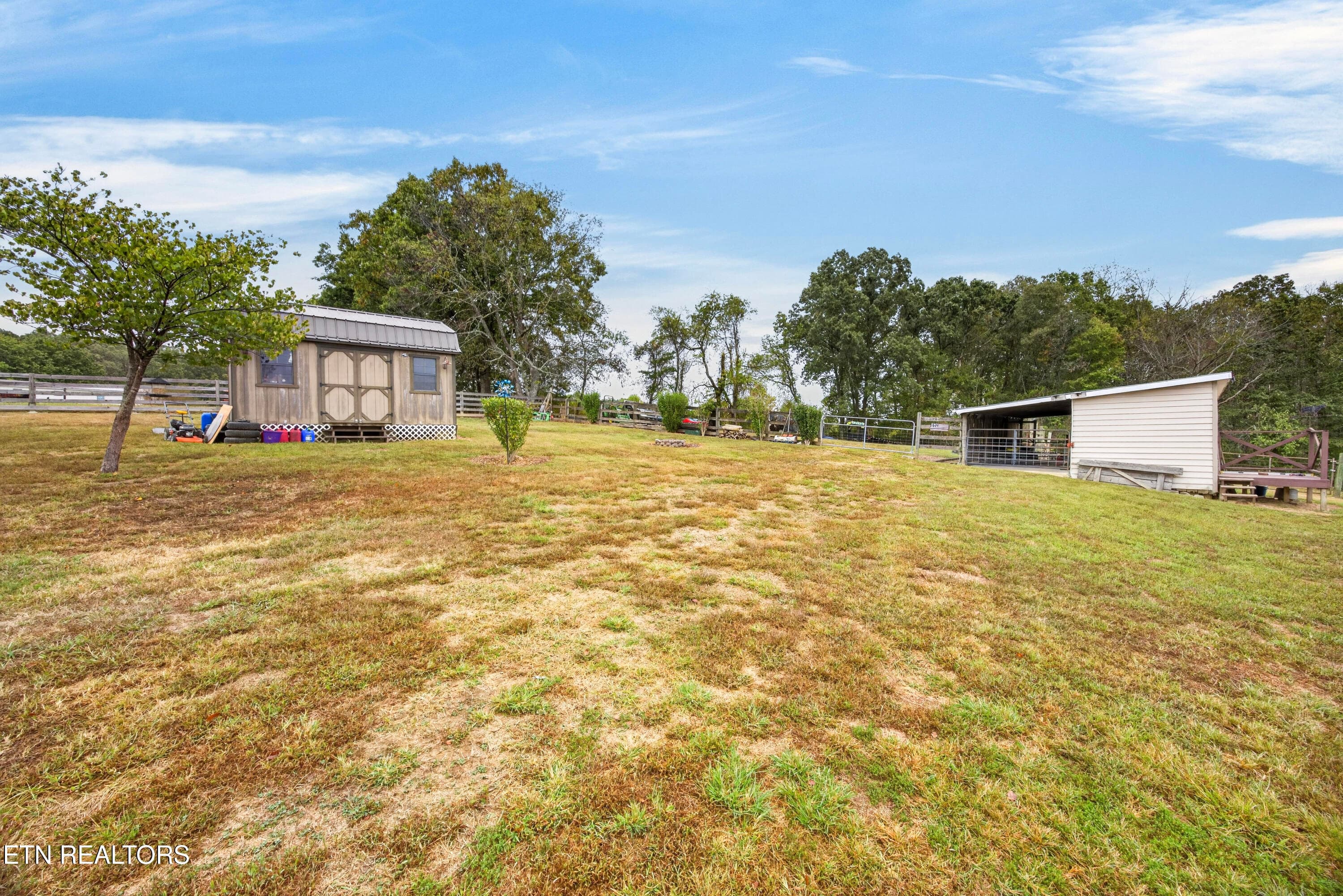 10-8N5A9547 - 179 Government Pond Rd, Jamestown, TN 38556, Jamestown