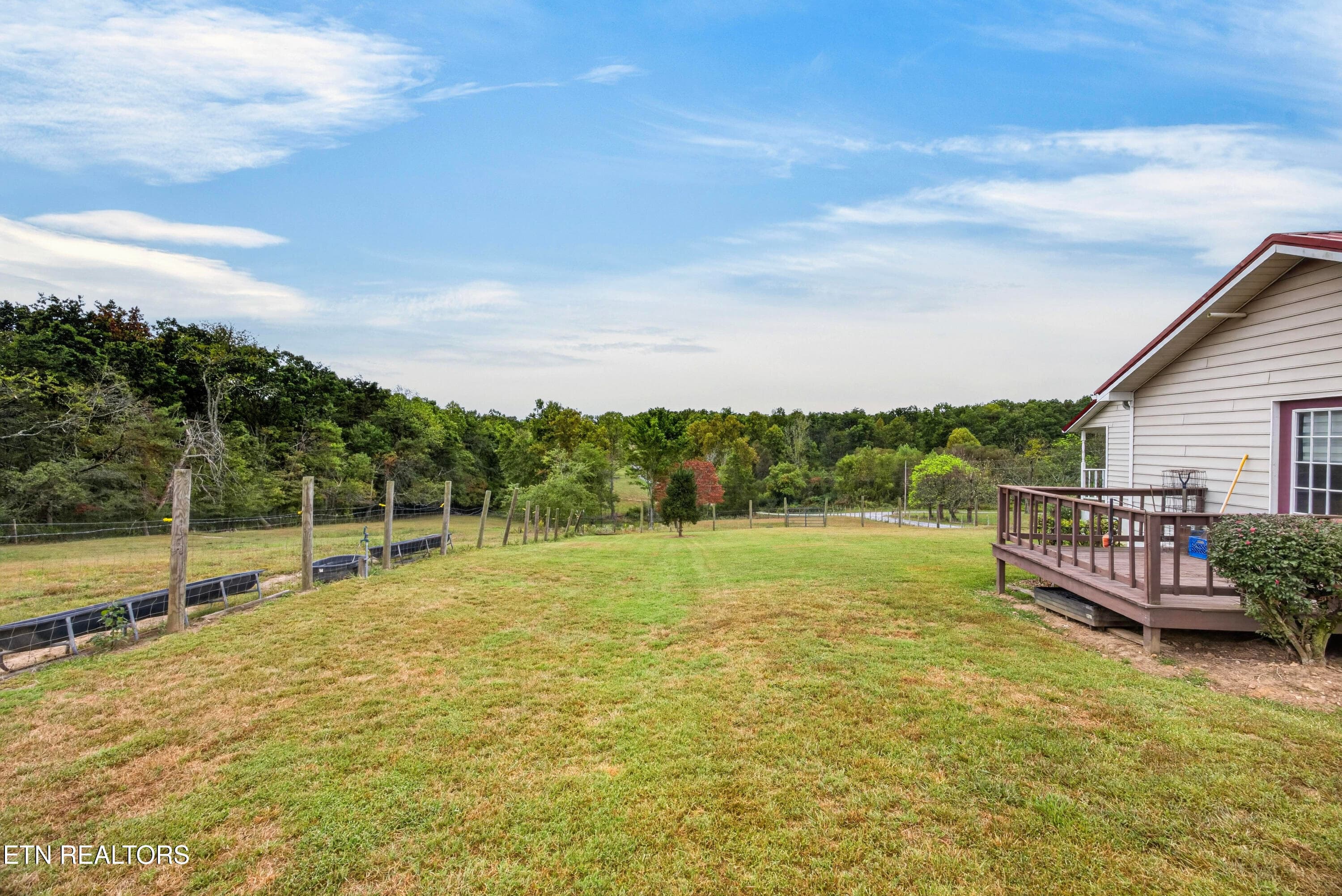11-8N5A9538 - 179 Government Pond Rd, Jamestown, TN 38556, Jamestown