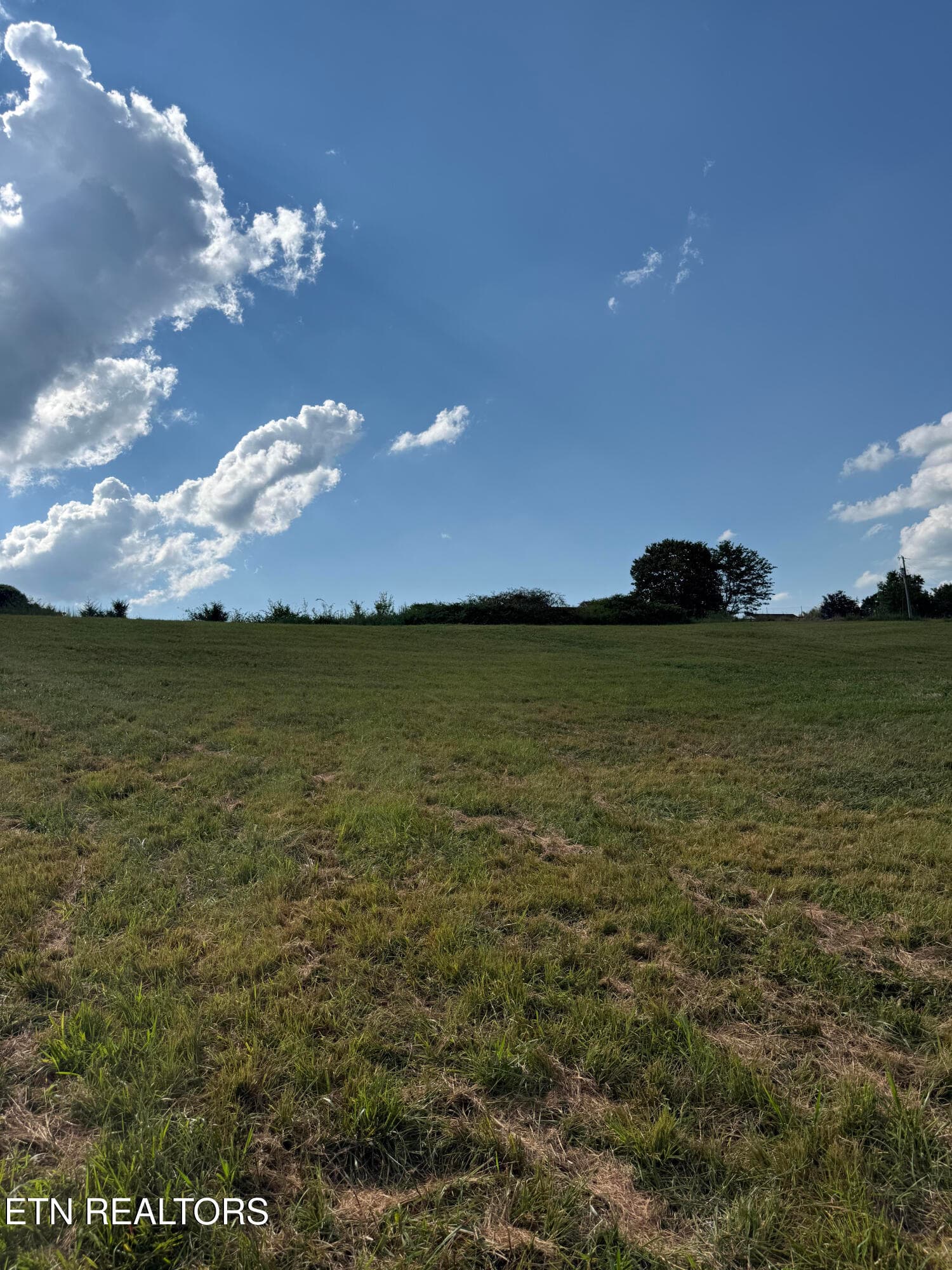 T Bridge pasture - Lot 3 Thompson Bridge Rd, Maryville, TN 37801, Maryville