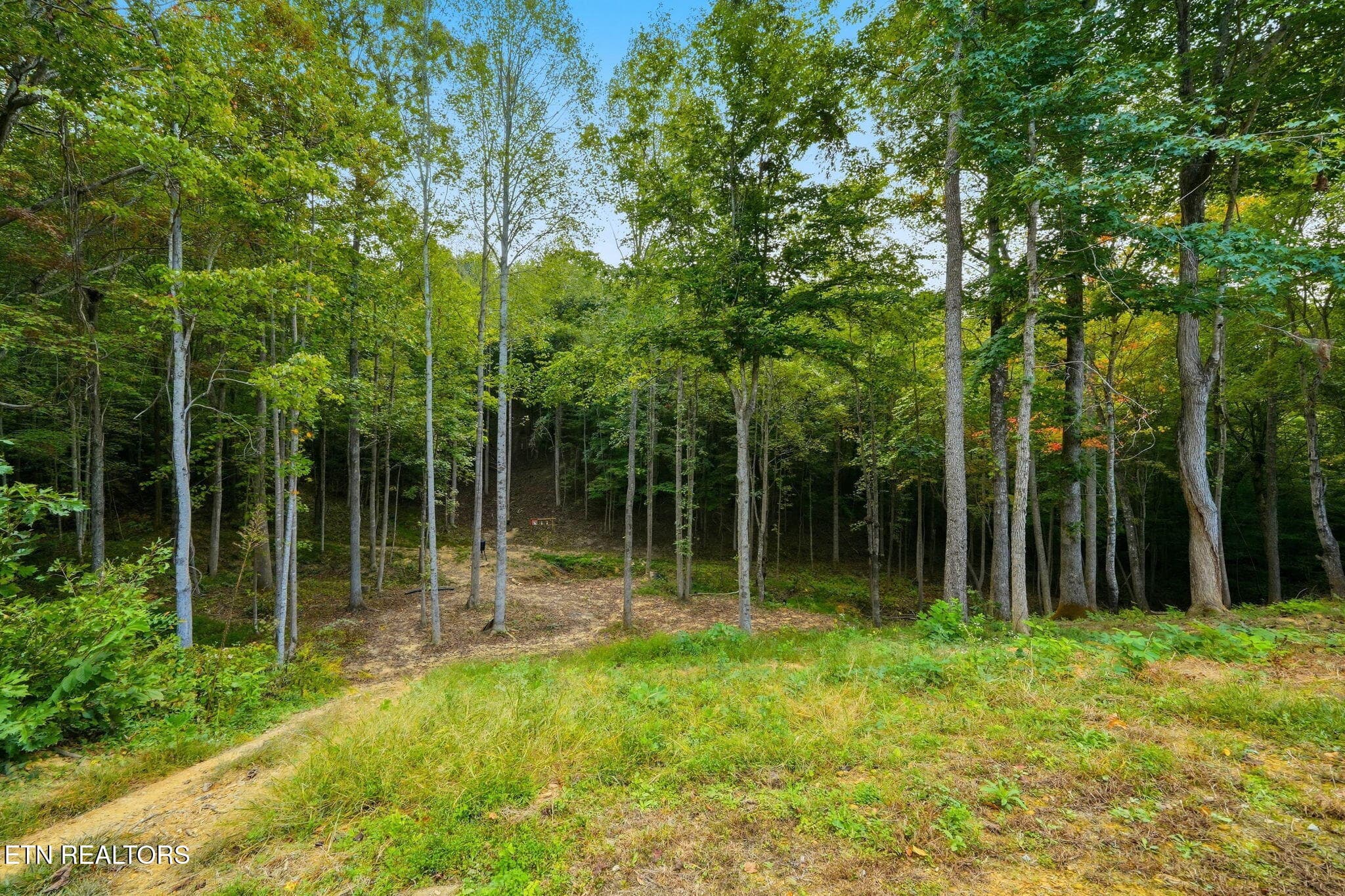 35-web-or-mls-383 Chance Private Dr-40 - 383 Chance Private Drive, Oneida, TN 37841, Oneida