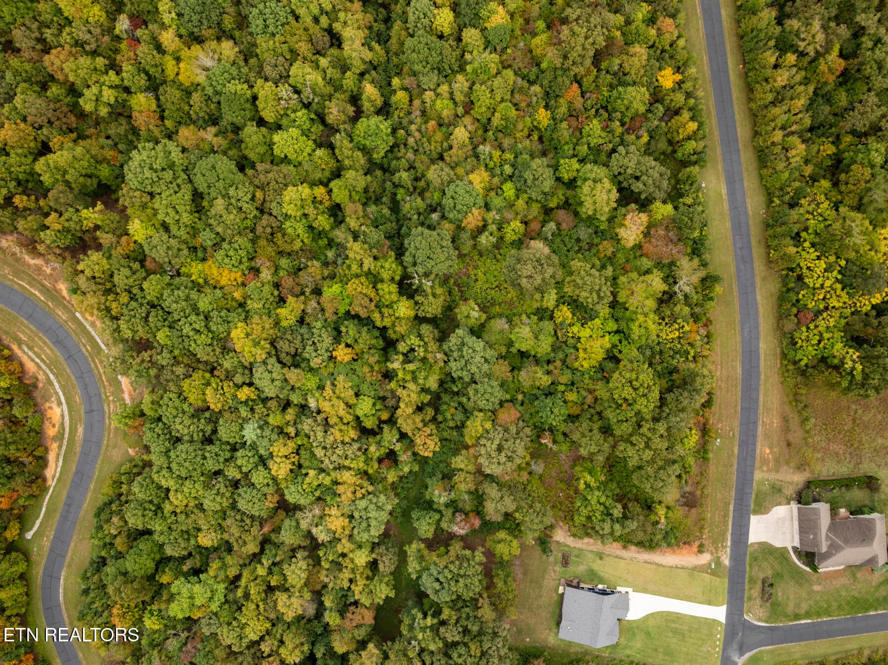 DJI_20261004150109_0754_D - 0 Water View Drive, Rockwood, TN 37854, Rockwood