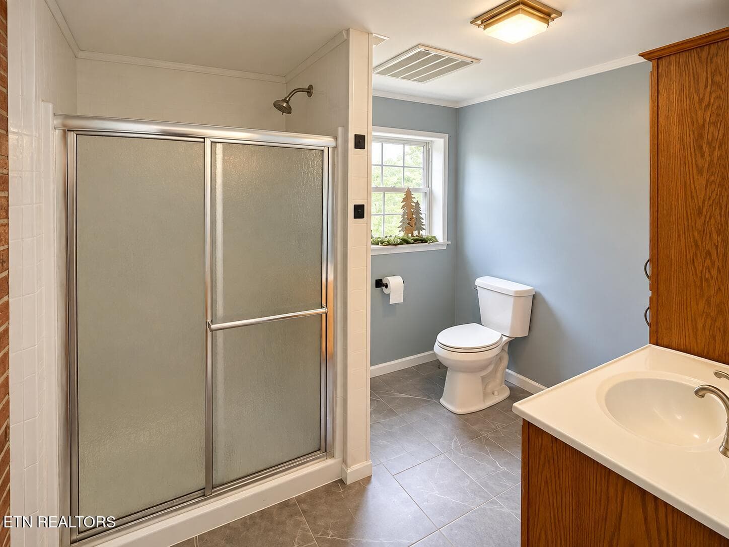 Downstairs Bathroom - 339 Dividing Ridge Rd, Speedwell, TN 37870, Speedwell