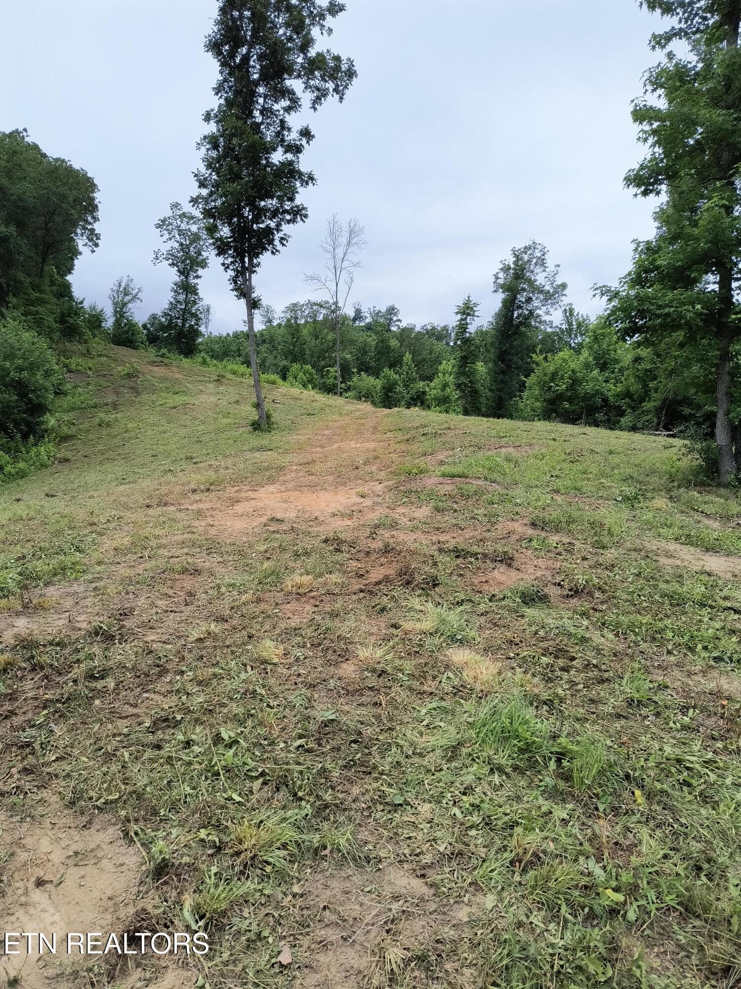 488 Ashe Cabin Hollow Rd, Harriman, TN 37748