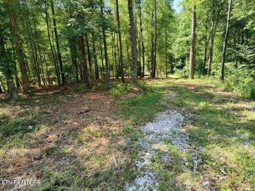 20250911183833035533000000-o - 488 Ashe Cabin Hollow Rd, Harriman, TN 37748, Harriman
