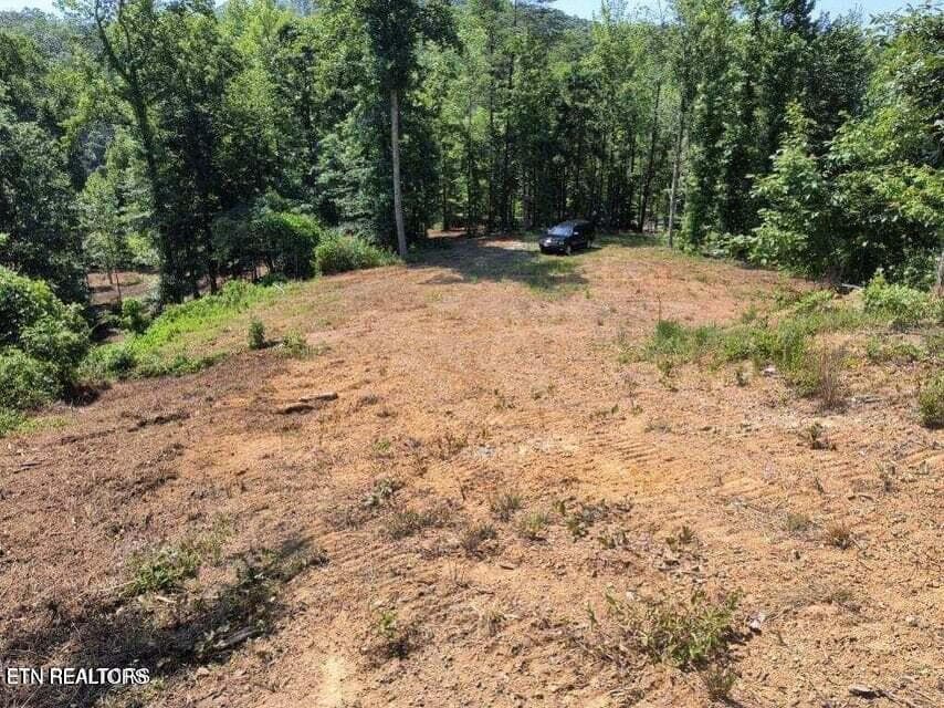 20250911183833586938000000-o - 488 Ashe Cabin Hollow Rd, Harriman, TN 37748, Harriman