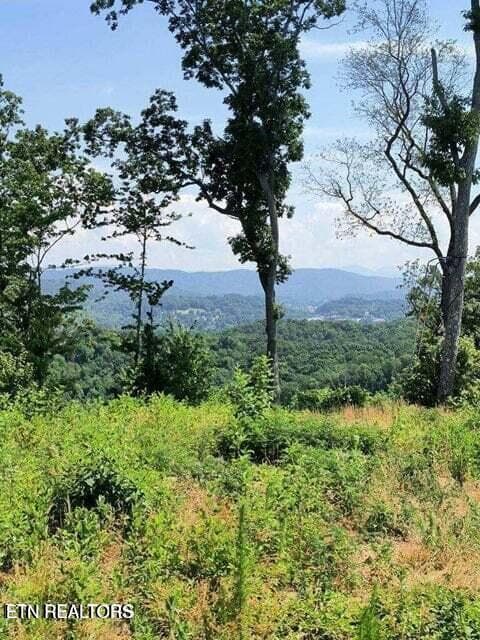 20250911183834103902000000-o - 488 Ashe Cabin Hollow Rd, Harriman, TN 37748, Harriman