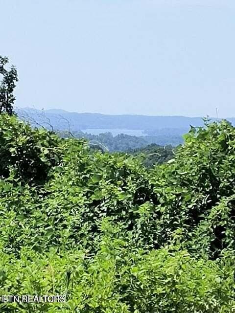 20250911183835132105000000-o - 488 Ashe Cabin Hollow Rd, Harriman, TN 37748, Harriman