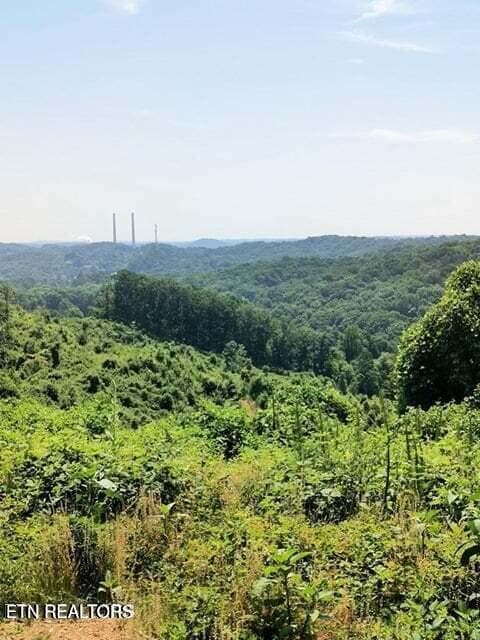 20250911183835734305000000-o - 488 Ashe Cabin Hollow Rd, Harriman, TN 37748, Harriman