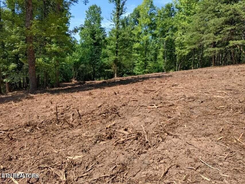20250911183836211048000000-o - 488 Ashe Cabin Hollow Rd, Harriman, TN 37748, Harriman