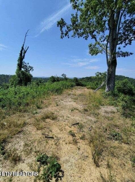 20250911183836714878000000-o - 488 Ashe Cabin Hollow Rd, Harriman, TN 37748, Harriman