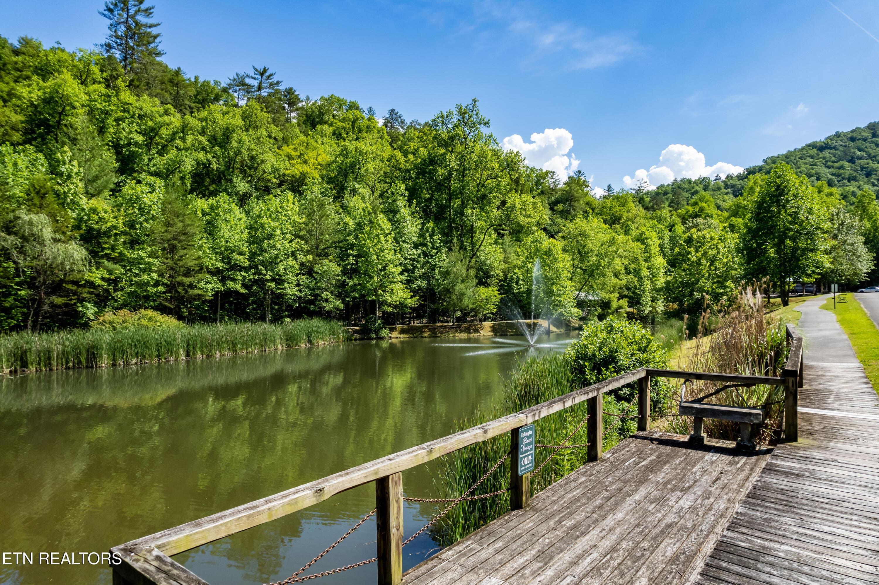 Fishing Pier 01 - 112 Sunshine Way, Townsend, TN 37882, Townsend