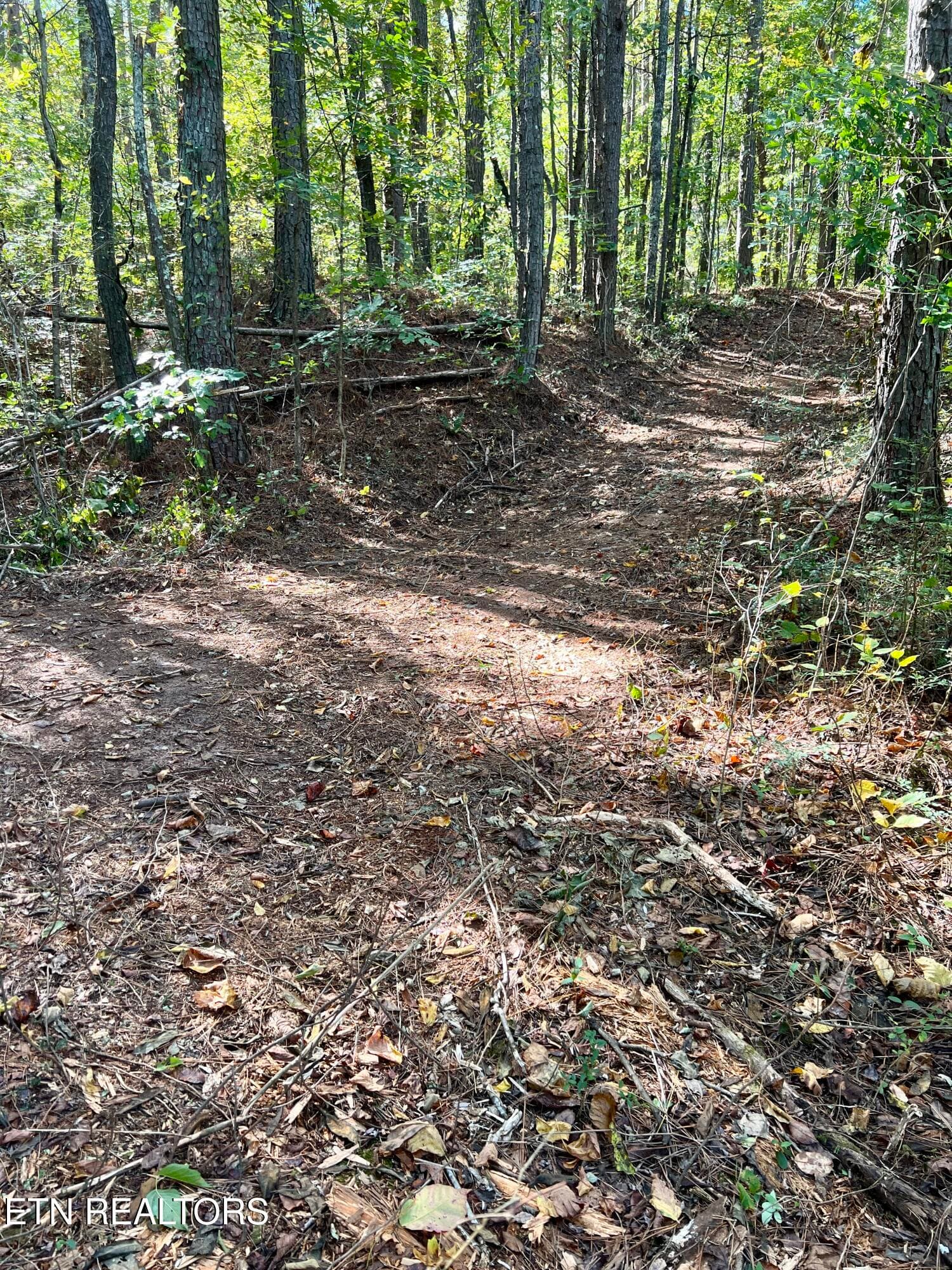 IMG_7682 - 545 Ridge Rd, Madisonville, TN 37354, Madisonville