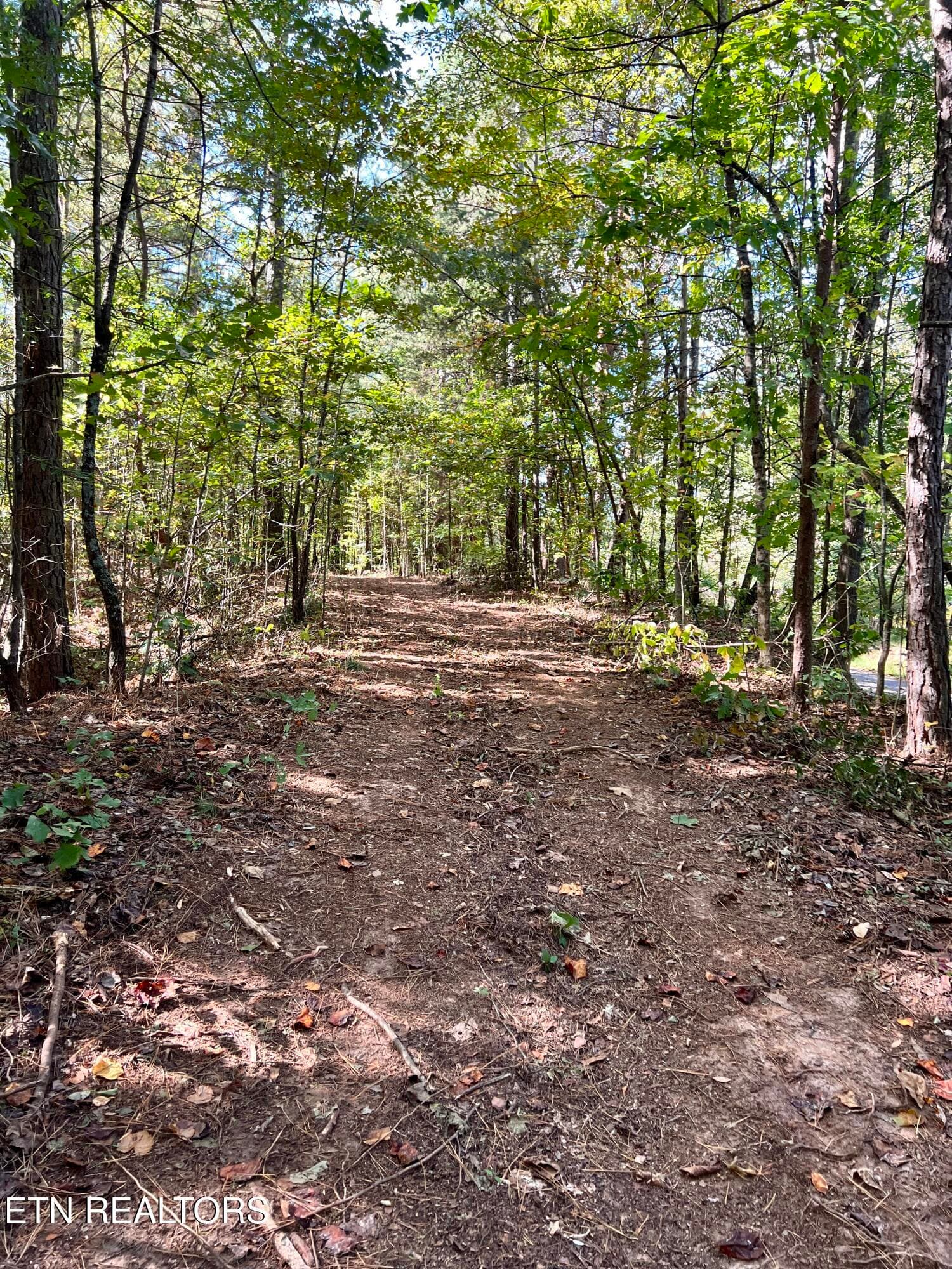 IMG_7684 - 545 Ridge Rd, Madisonville, TN 37354, Madisonville