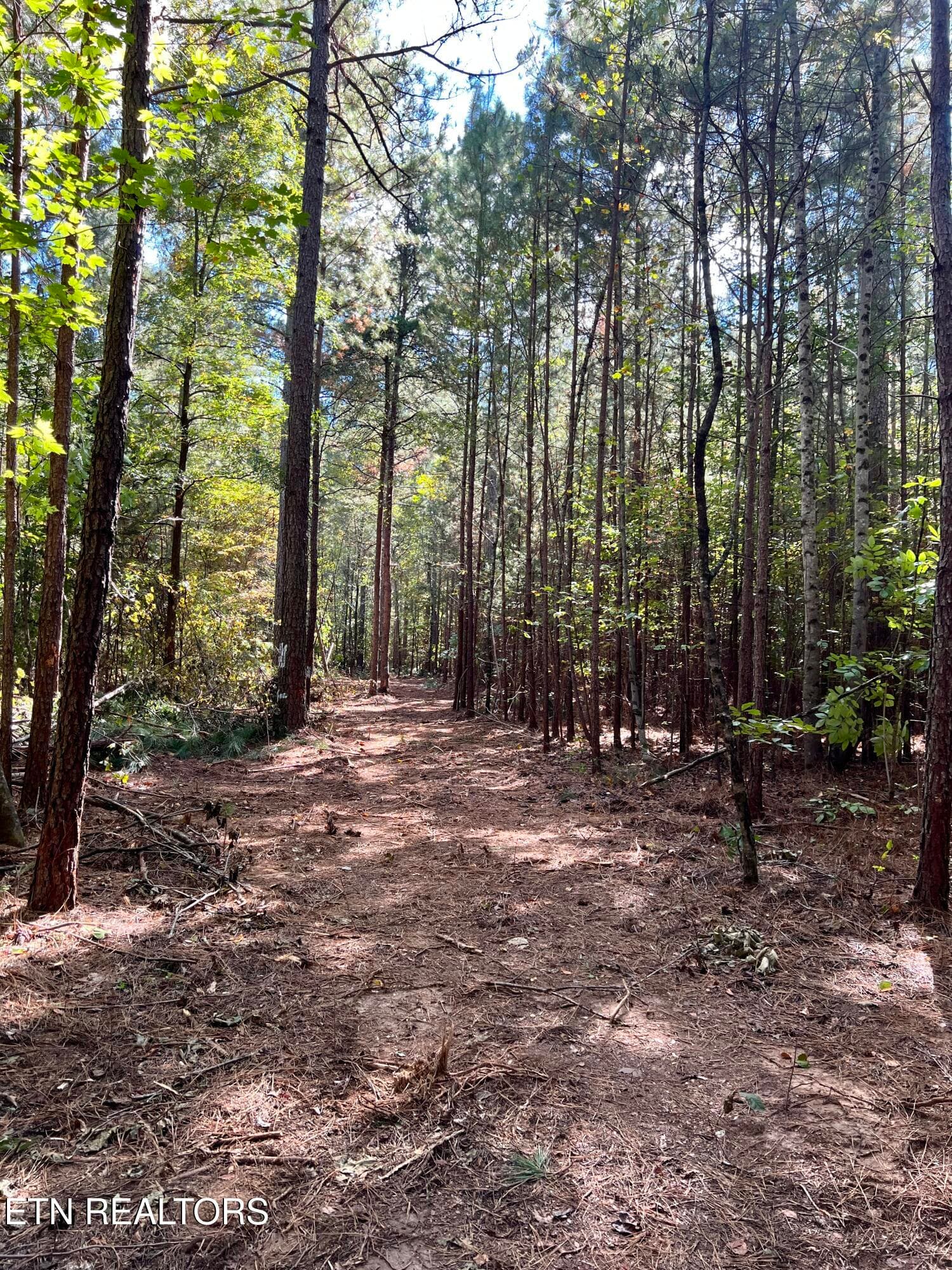 IMG_7686 - 545 Ridge Rd, Madisonville, TN 37354, Madisonville