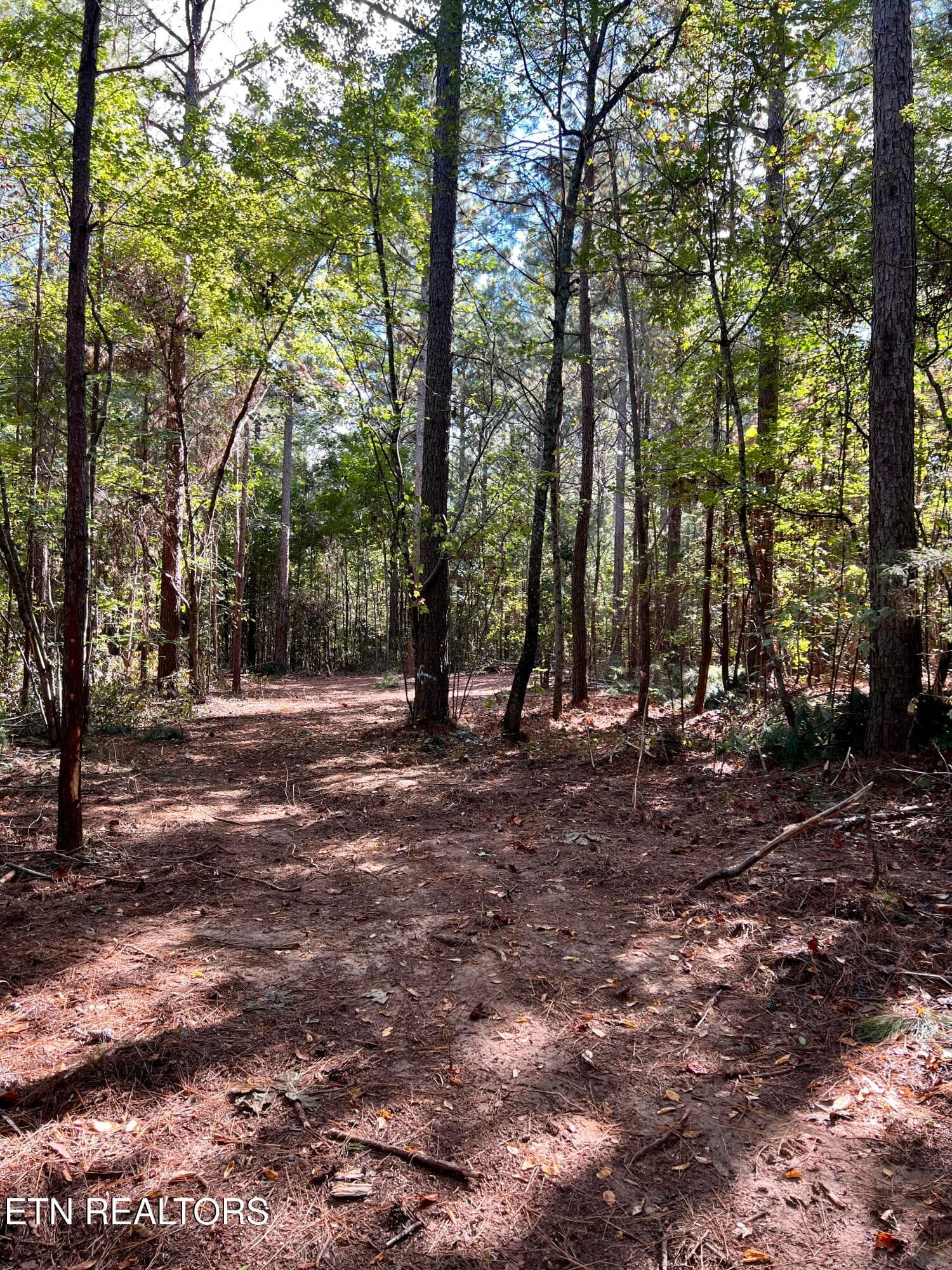 IMG_7689 - 545 Ridge Rd, Madisonville, TN 37354, Madisonville