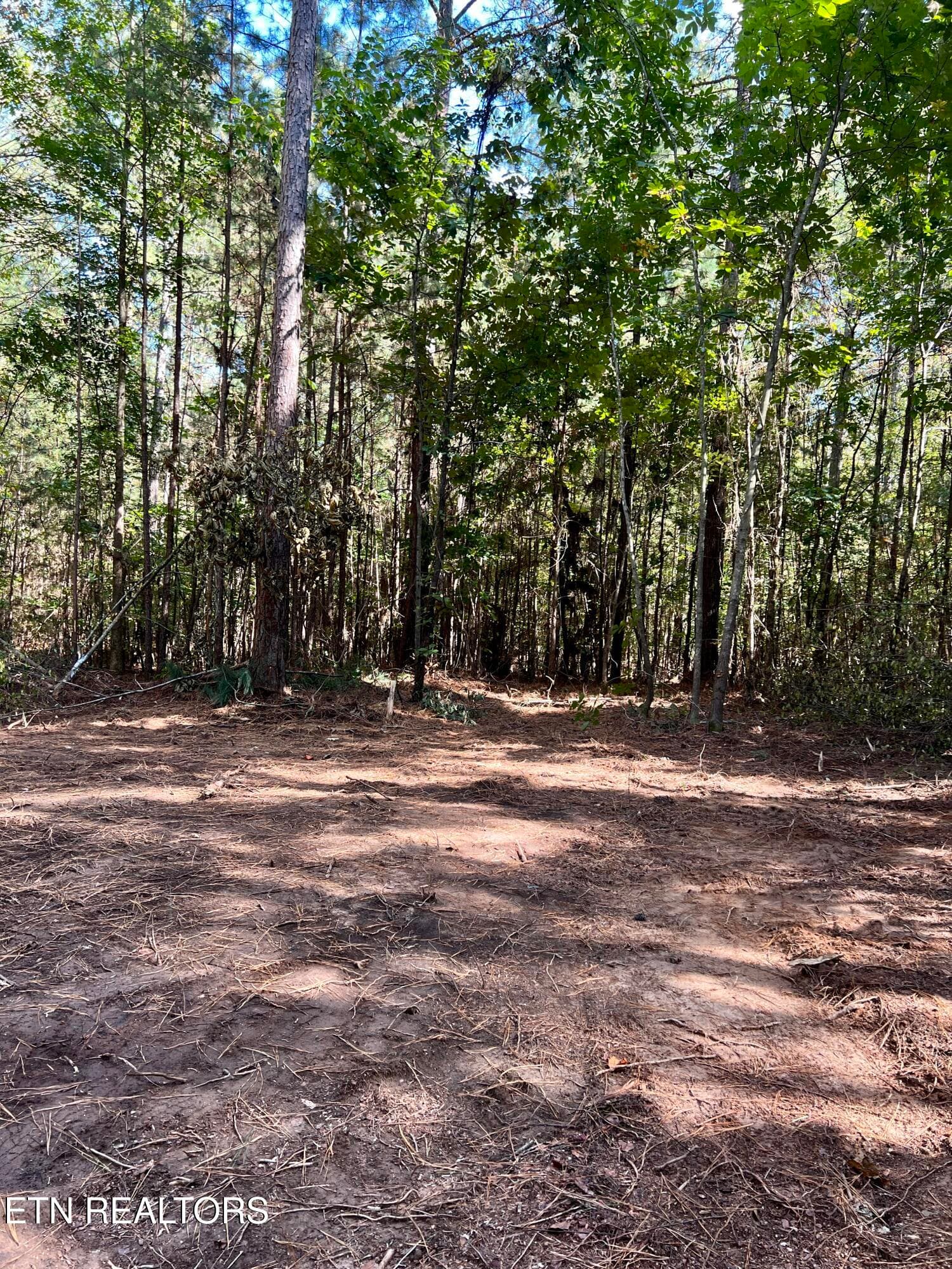 IMG_7693 - 545 Ridge Rd, Madisonville, TN 37354, Madisonville