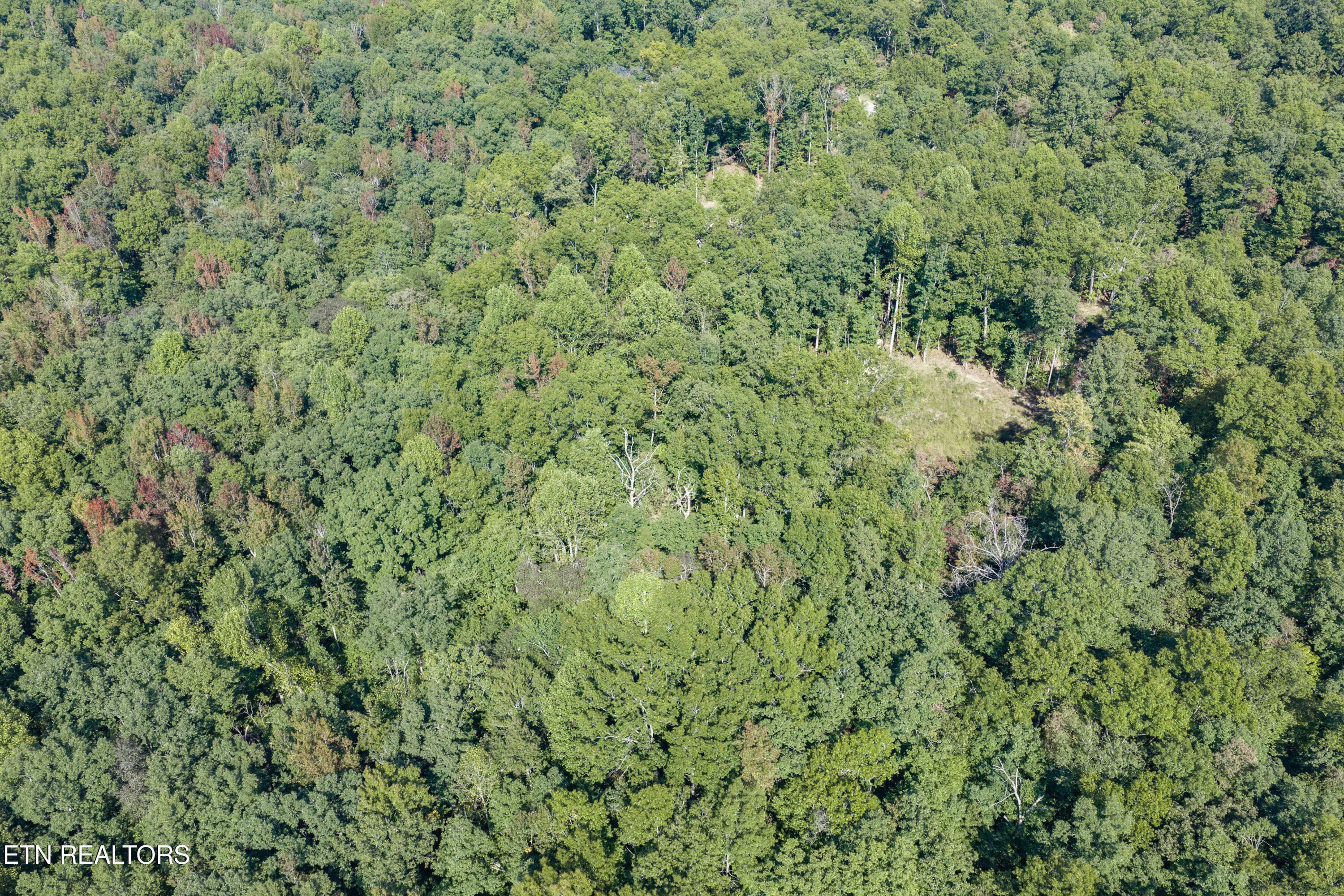 13-print-1426 E Overlook Rd_063_TNPC - 1426 E Overlook Rd, Monterey, TN 38574, Monterey