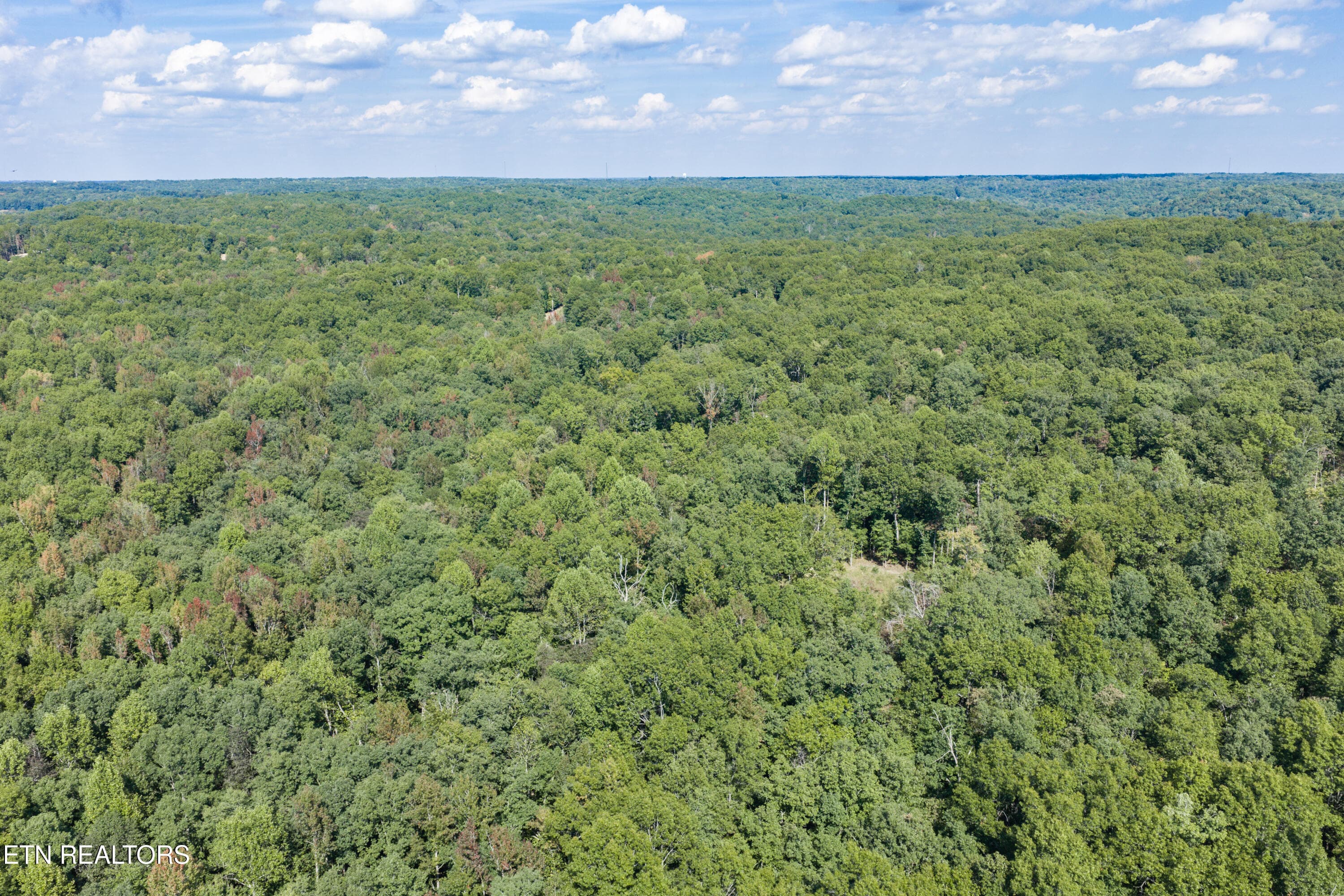 14-print-1426 E Overlook Rd_068_TNPC - 1426 E Overlook Rd, Monterey, TN 38574, Monterey