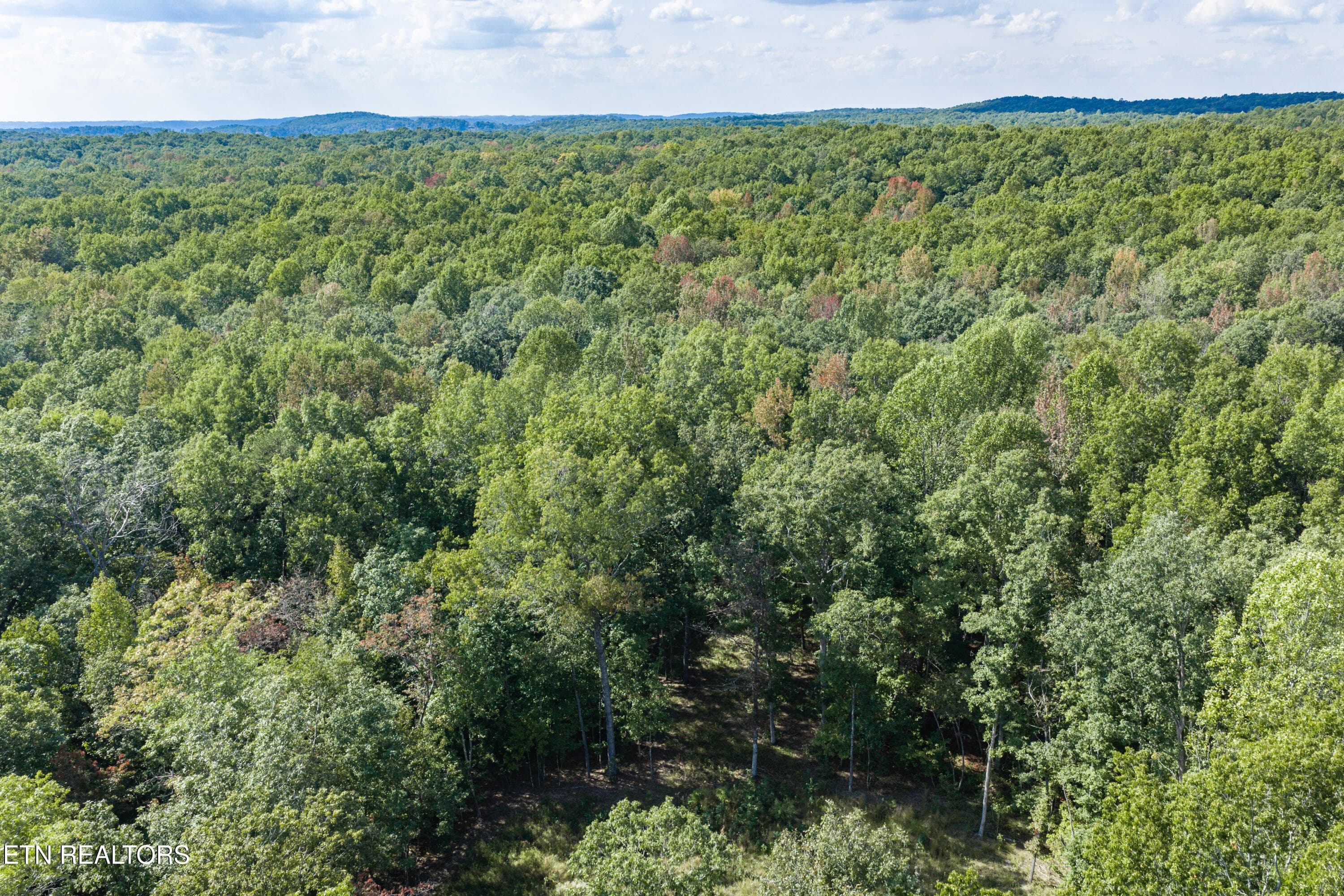 16-print-1426 E Overlook Rd_078_TNPC - 1426 E Overlook Rd, Monterey, TN 38574, Monterey