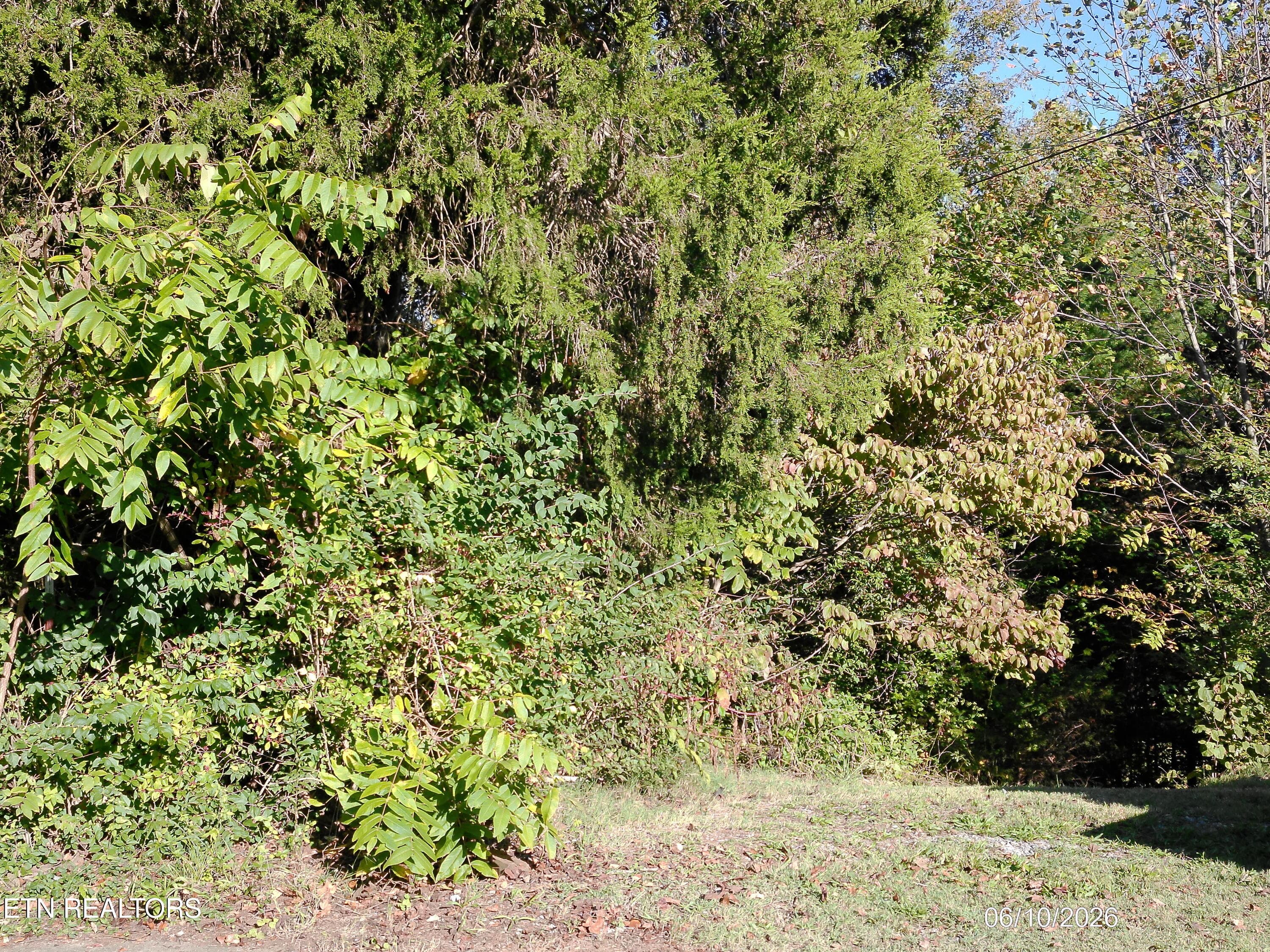 DSCF0033 - Ridge Rd, Maryville, TN 37803, Maryville
