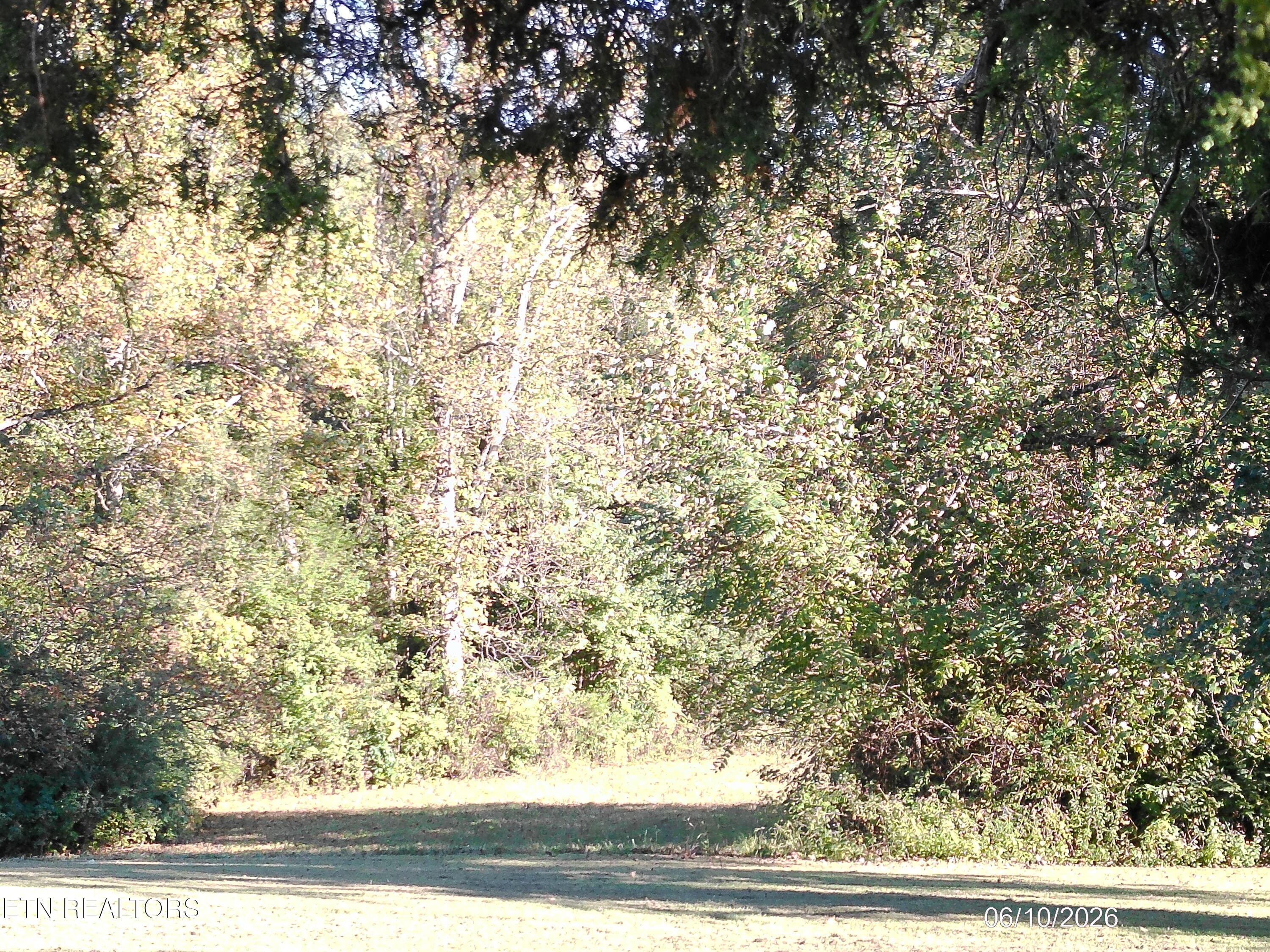 DSCF0037 - Ridge Rd, Maryville, TN 37803, Maryville