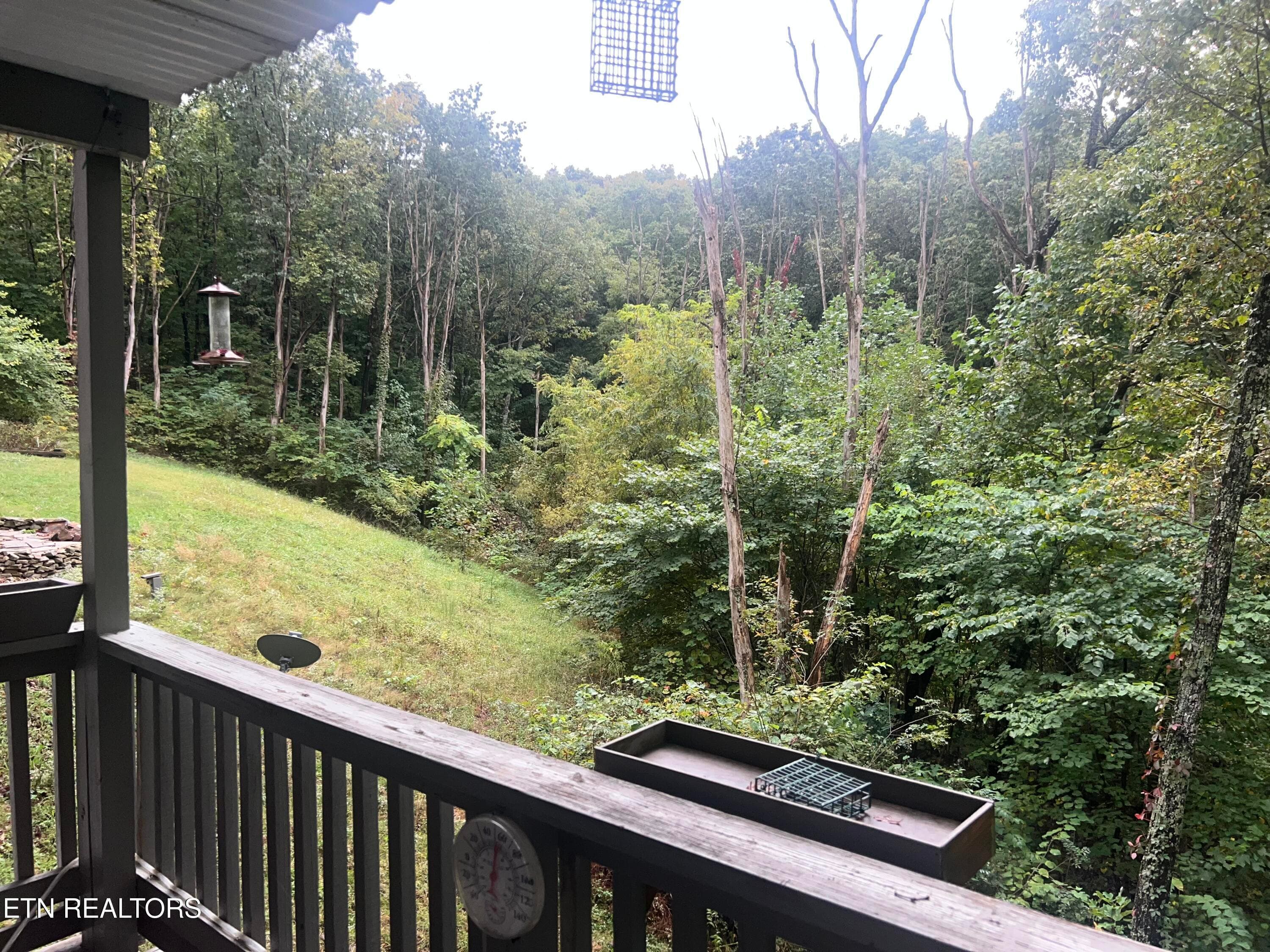 View - 145 Moytoy Rd 103, Crab Orchard, TN 37723, Crab Orchard