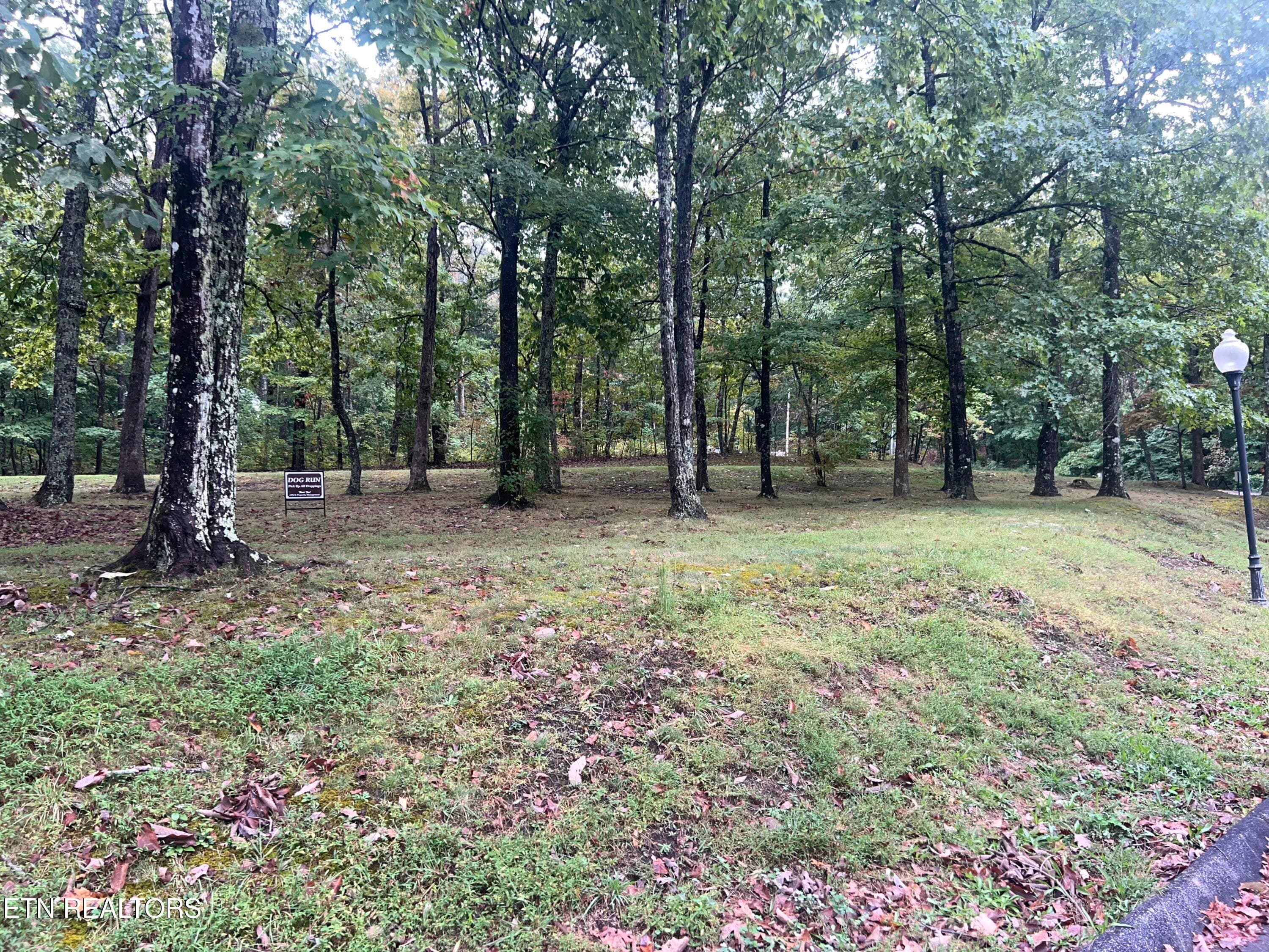 View - 145 Moytoy Rd 103, Crab Orchard, TN 37723, Crab Orchard