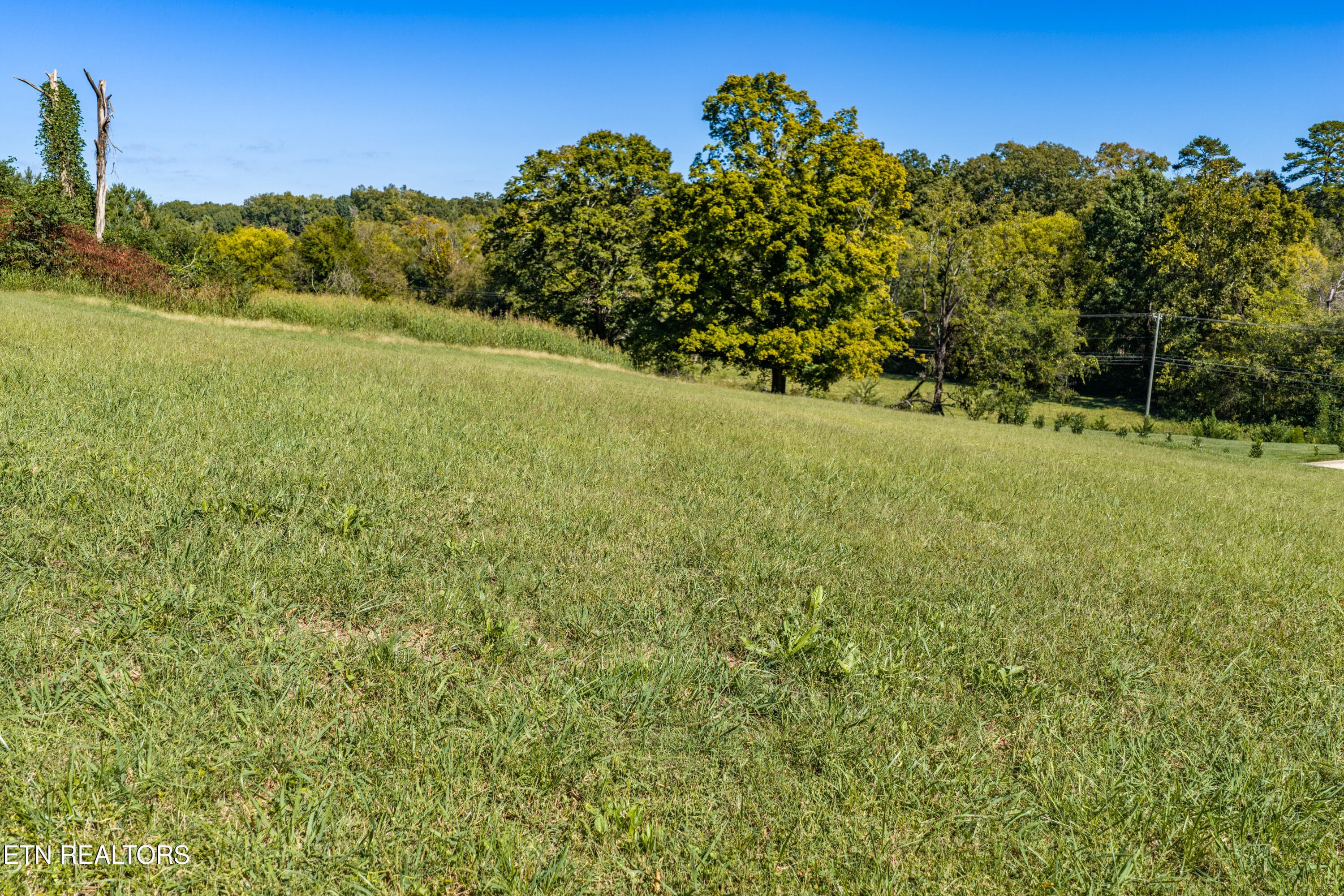 17 - 1712 Kensington Drive, Knoxville, TN 37922, Knoxville