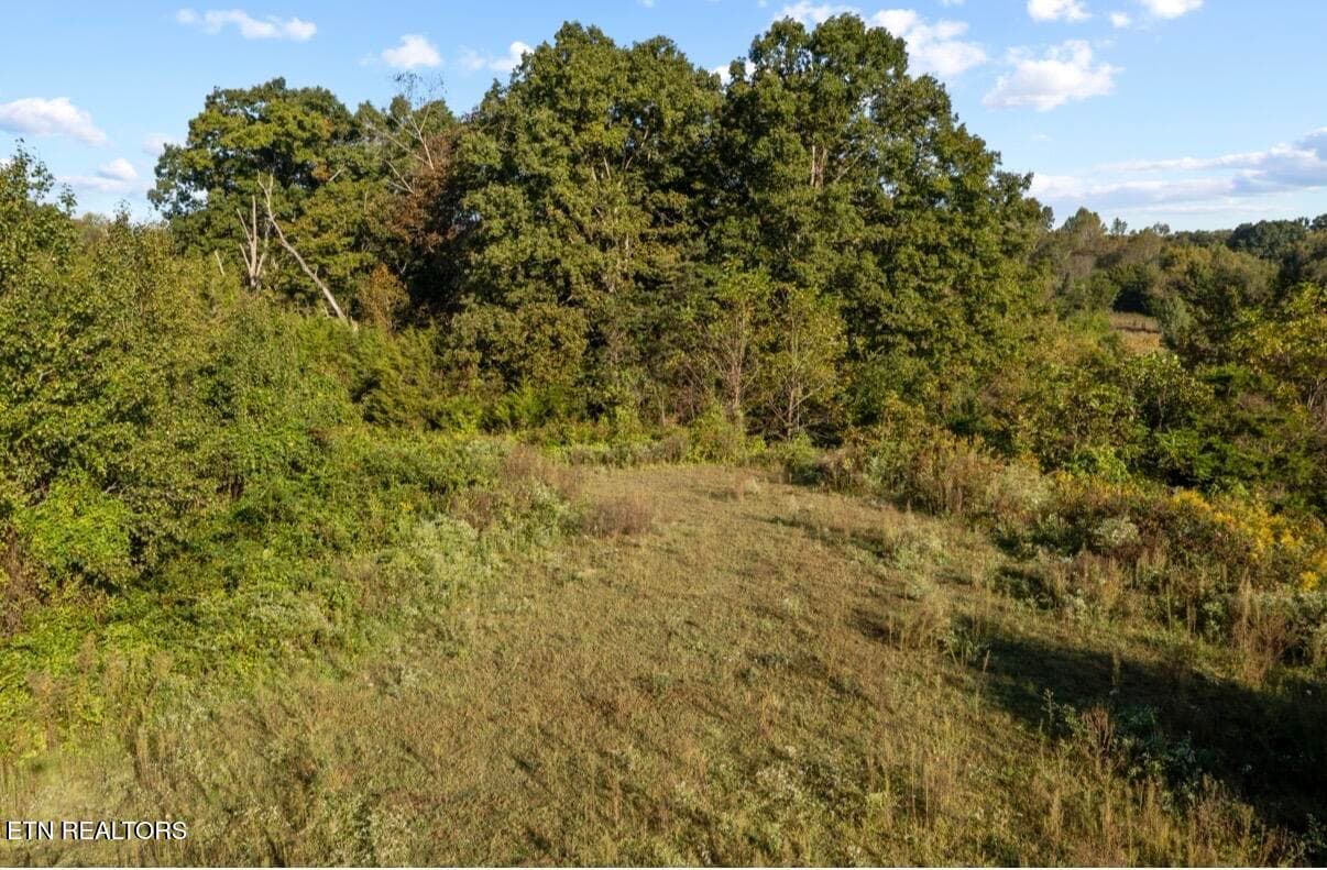 IMG_5765 - 1033 George Malone Rd, Greeneville, TN 37745, Greeneville