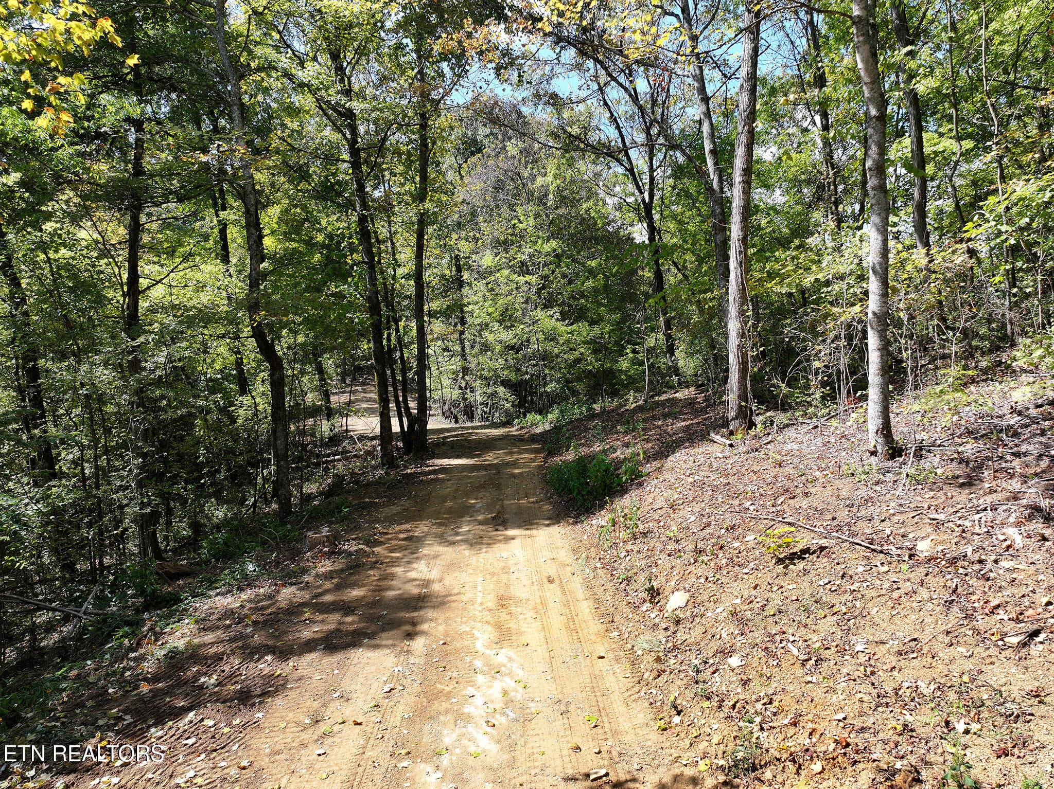 DJI_20261002133736_0164_D copy - 12 Acres Jace Way, Kodak, TN 37764, Kodak