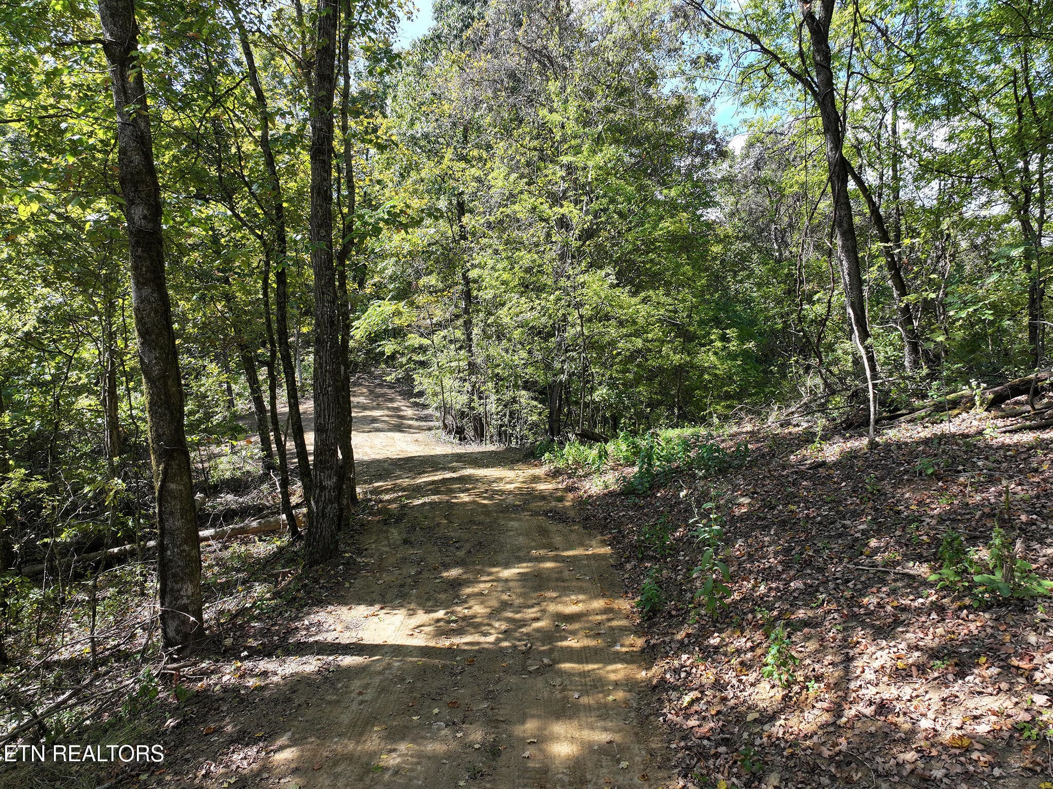 DJI_20261002133754_0166_D copy - 12 Acres Jace Way, Kodak, TN 37764, Kodak