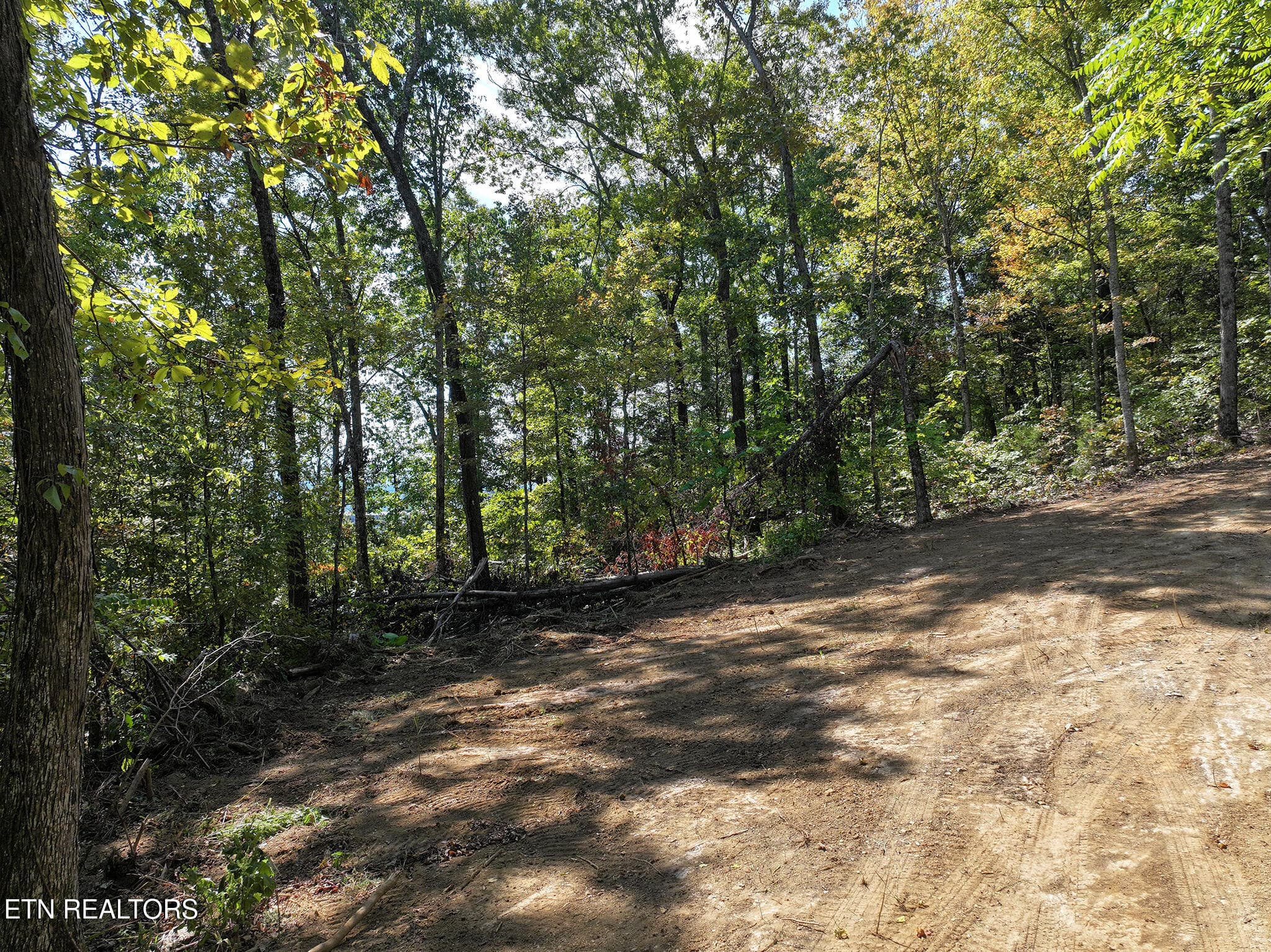 DJI_20261002133819_0169_D copy - 12 Acres Jace Way, Kodak, TN 37764, Kodak