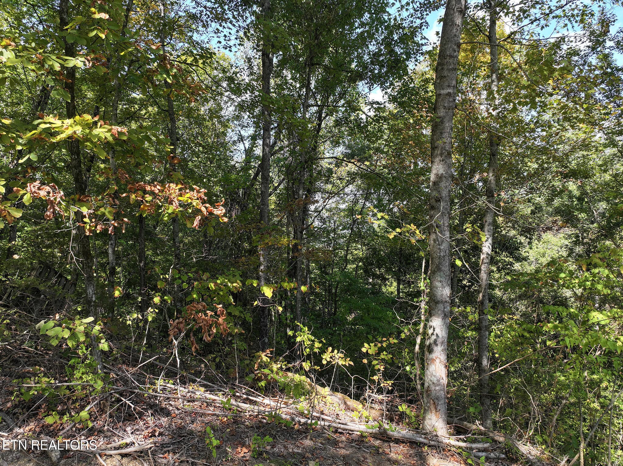 DJI_20261002133842_0171_D copy - 12 Acres Jace Way, Kodak, TN 37764, Kodak
