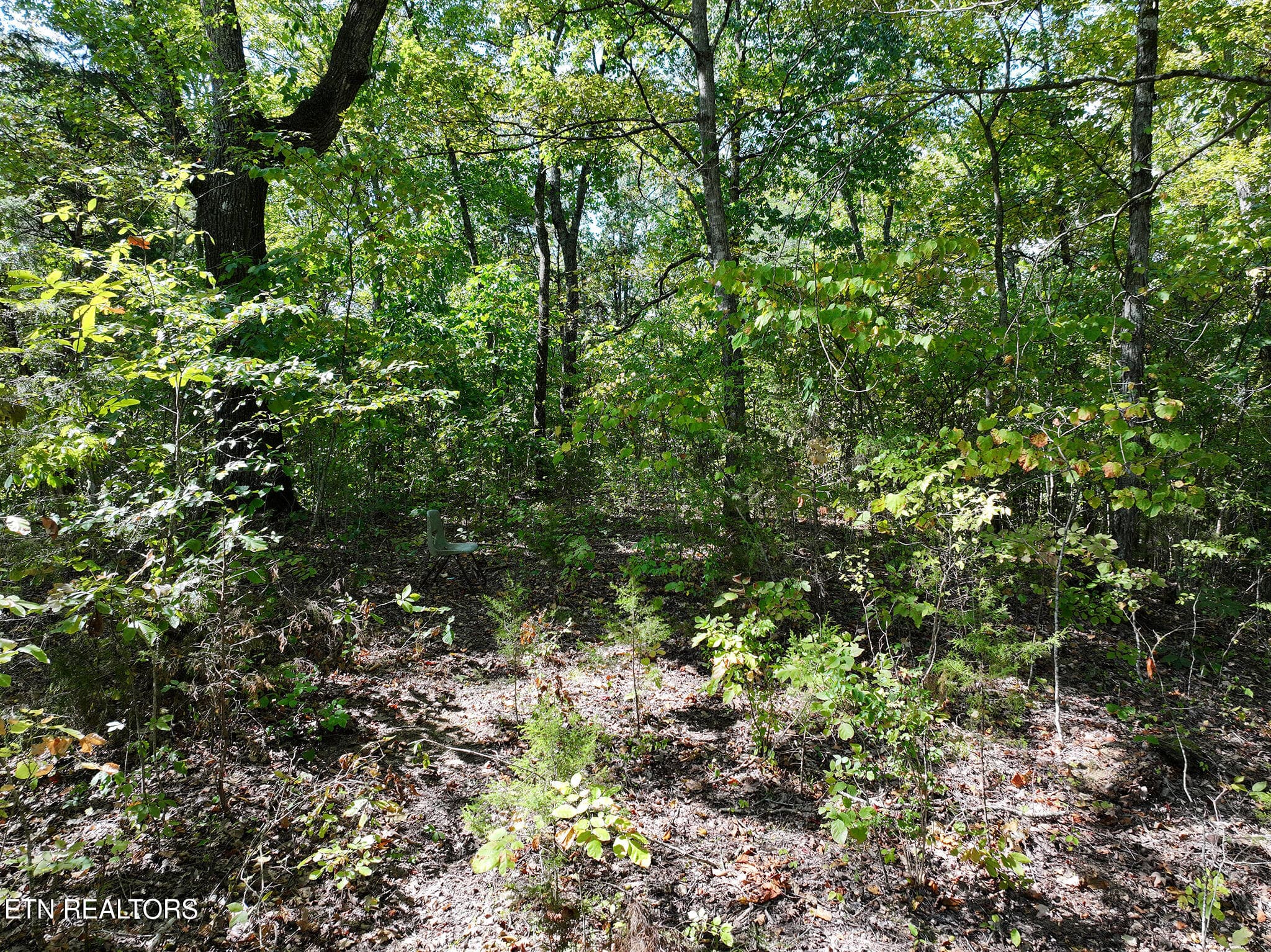 DJI_20261002133855_0172_D copy - 12 Acres Jace Way, Kodak, TN 37764, Kodak